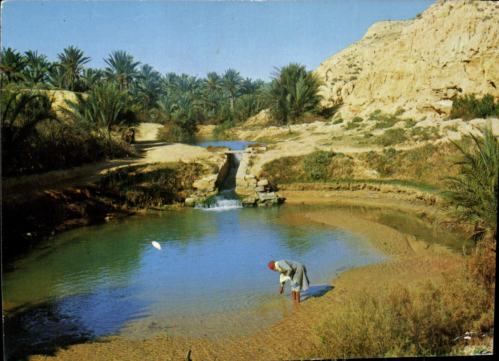 CPM Tunisie Gabes L'oasis
