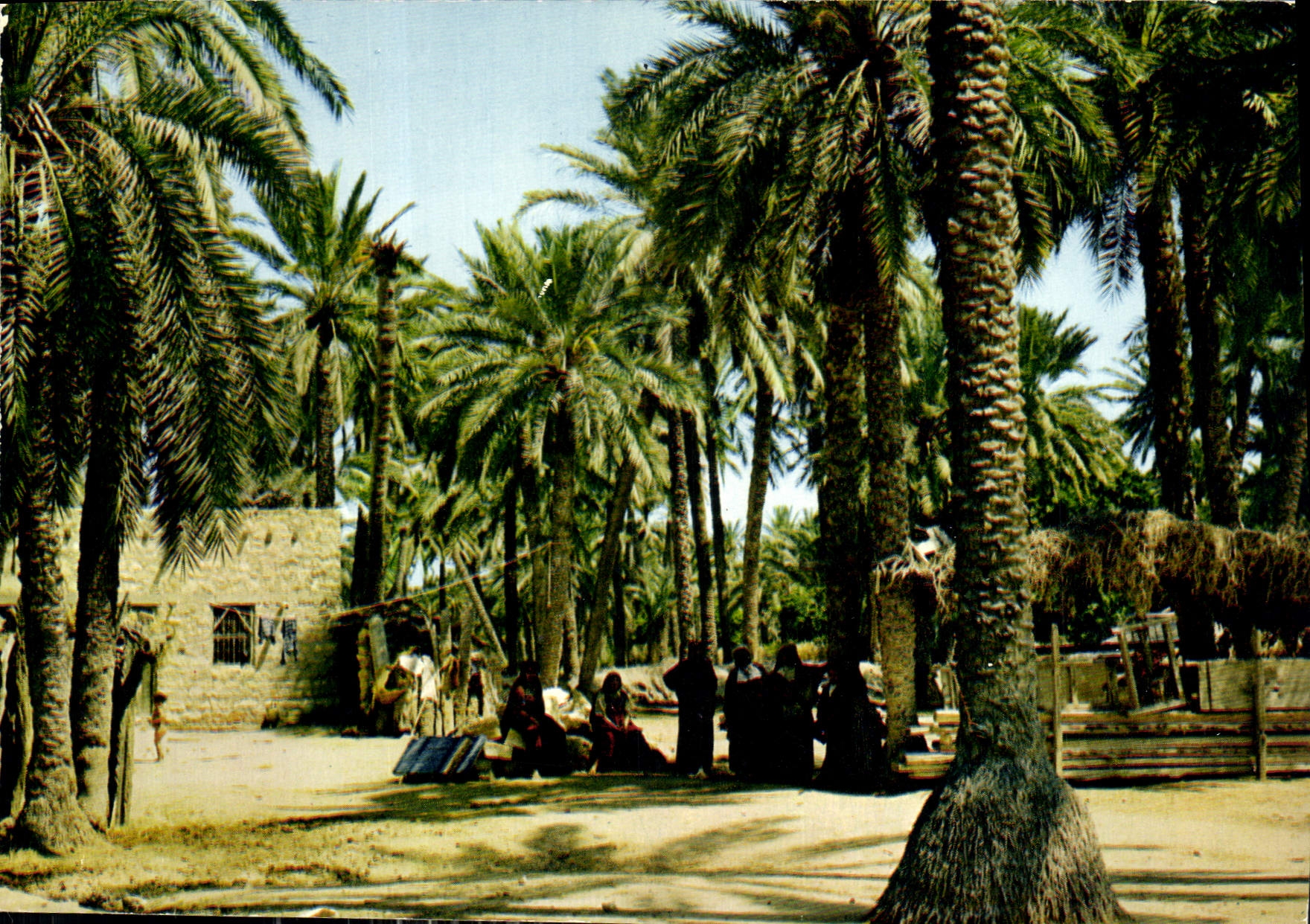 CPM Tunisie Gabes Scenes Typiques 