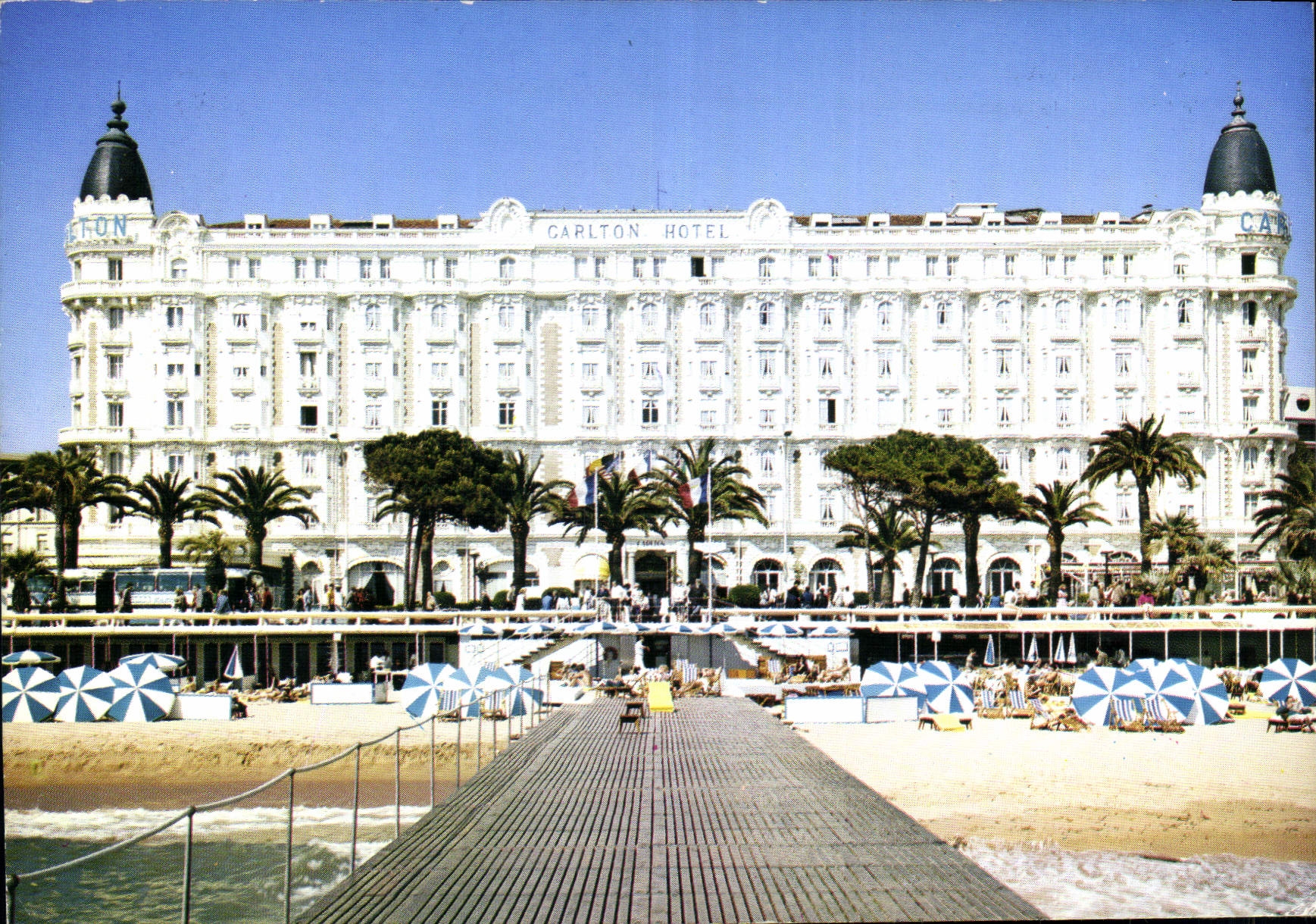 CPM Cannes Alpes Maritimes sur la Croisette le Cariton 