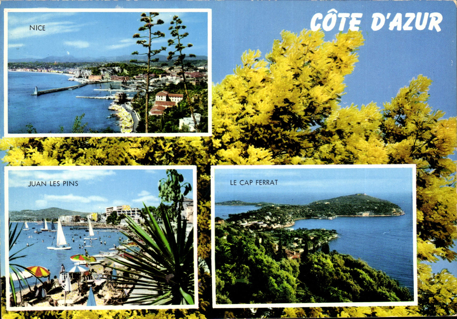 CPM Souvenir de la Cote d'Azur Nice Jean les Pins le Cap Ferrat 