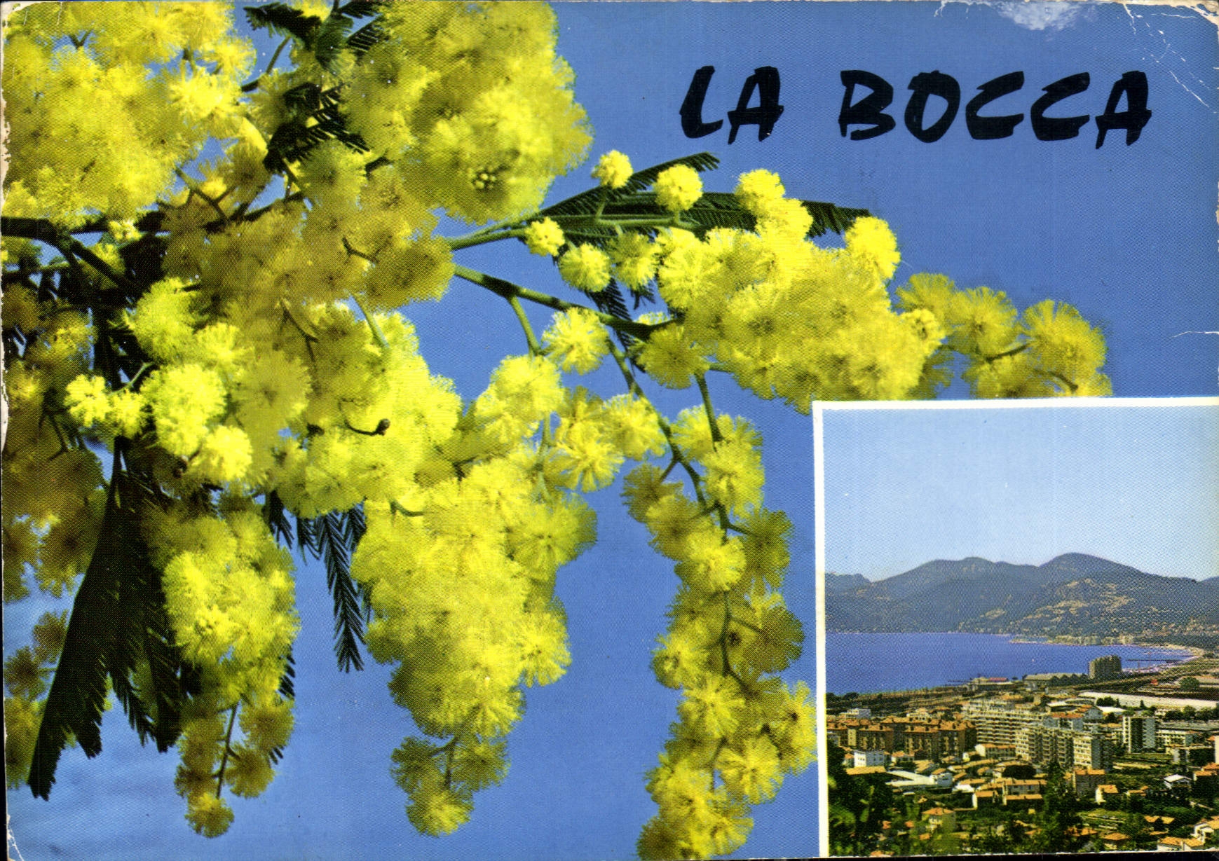 CPM La Bocca Souvenir de la Bocca 