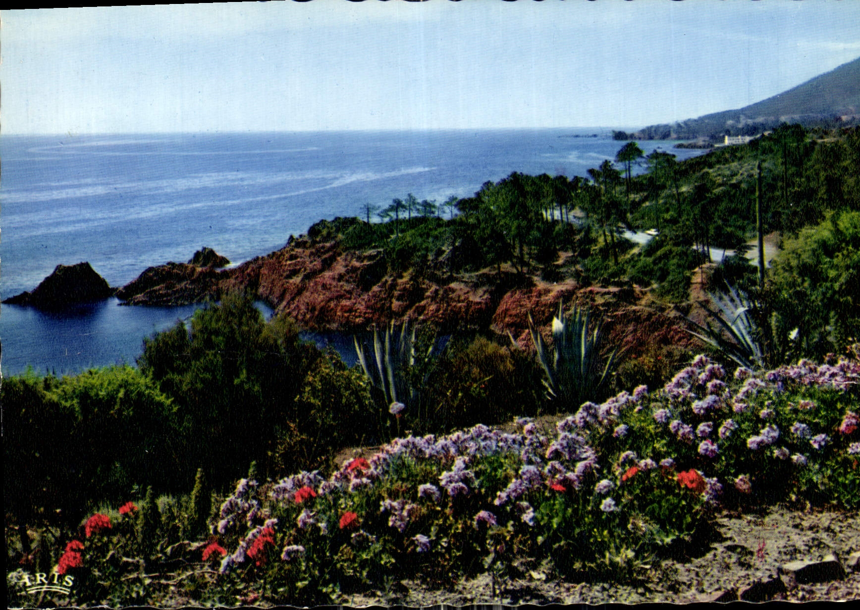 CPM Reflets de la Cote d'Azur la Cote Mediterraneenne Rivages Fleuris 