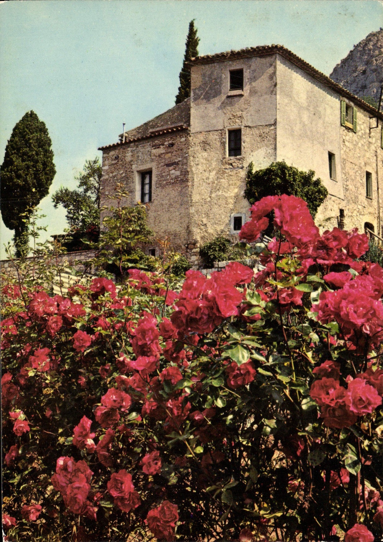 CPM Douce France Vieilles Pierres et fleurs de l'Arrieres Pays Mediterraneen 