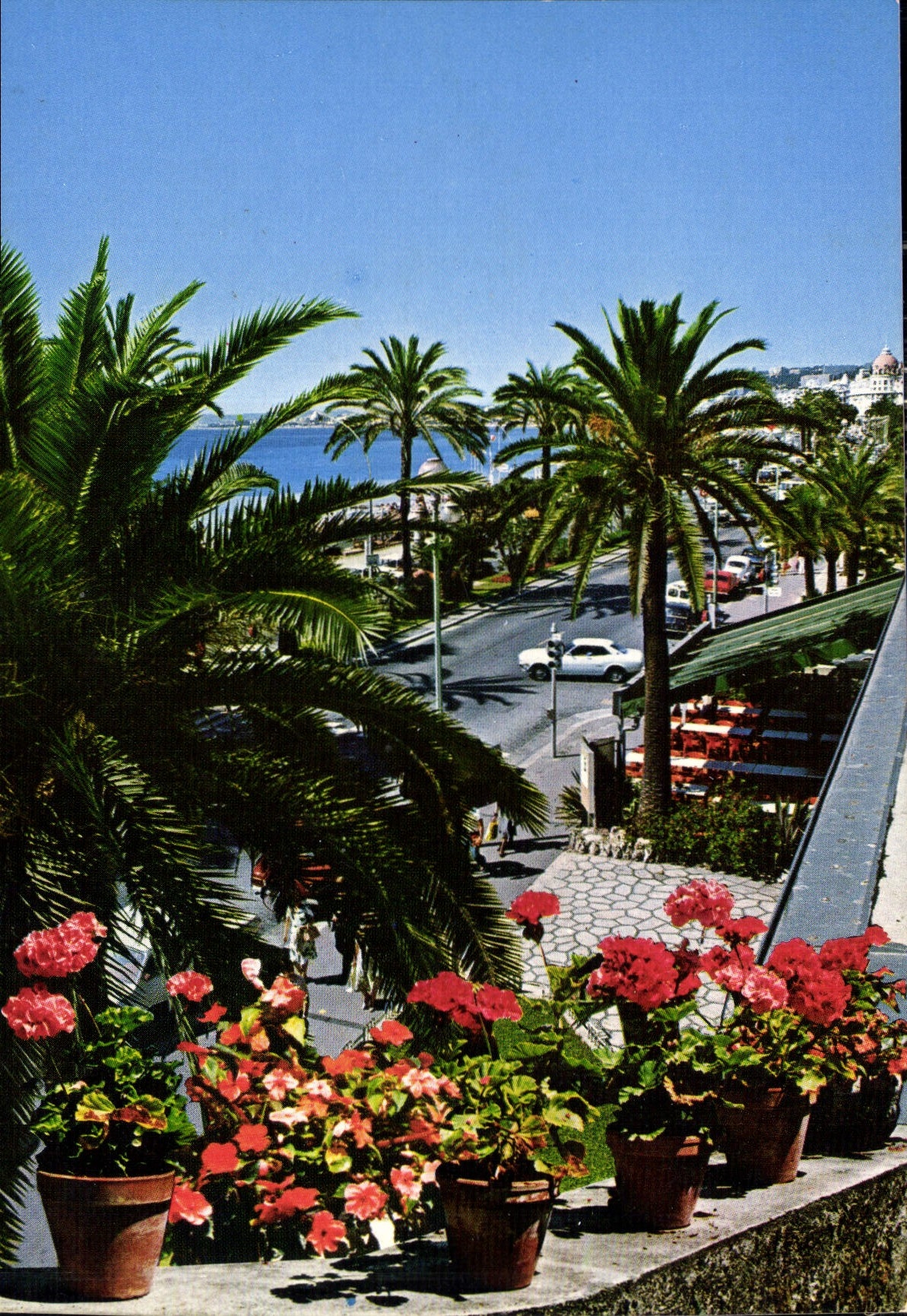 CPM Cote d'Azur Nice Alpes Maritimes la promenade des Anglais