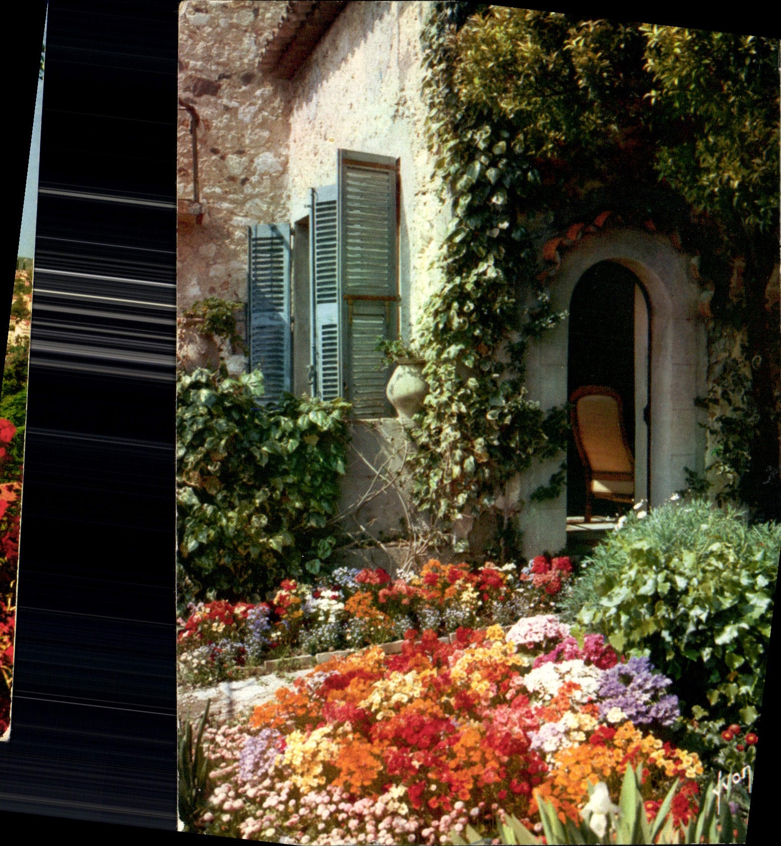 CPM La Cote d'Azur miracle de la nature Jardin fleuri de la Cote d'Azur