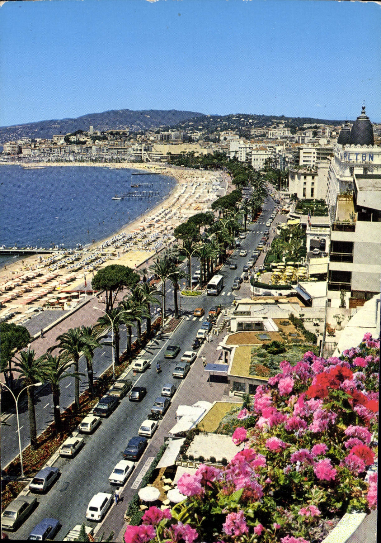 CPM Cote d'Azur Cannes Alpes Maritimes la Croisette et les Plages 