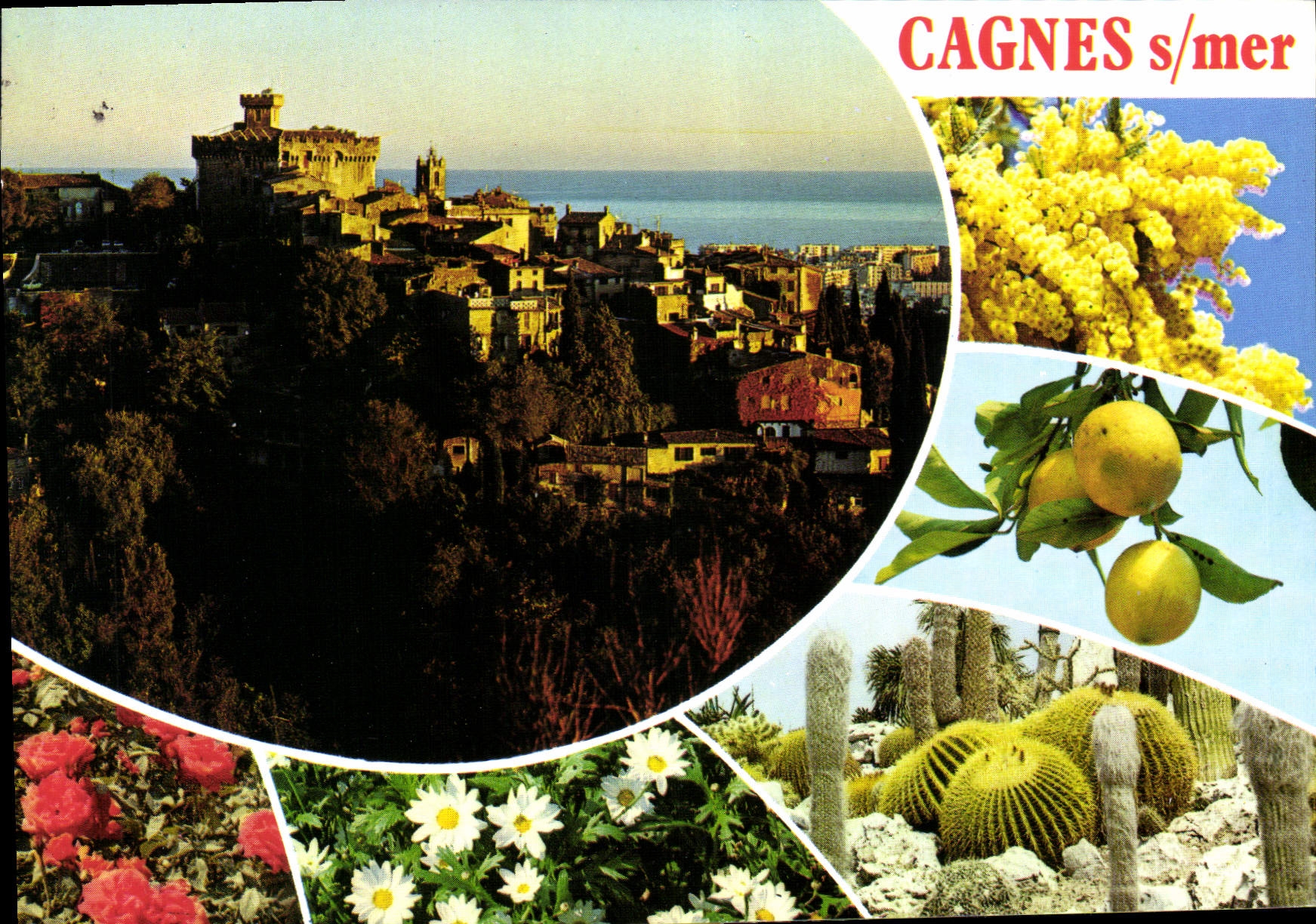 CPM La Cote d'Azur inoubliable Cagnes sur Mer