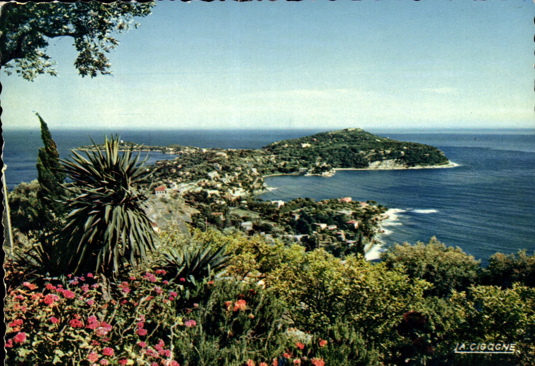 CPM Reflets de la Cote d'Azur Le Cap Ferrat vue panoramique 