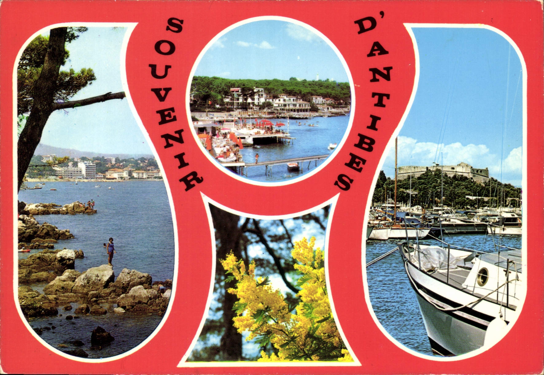 CPM Au soleil de la Cote d'Azur Antibes