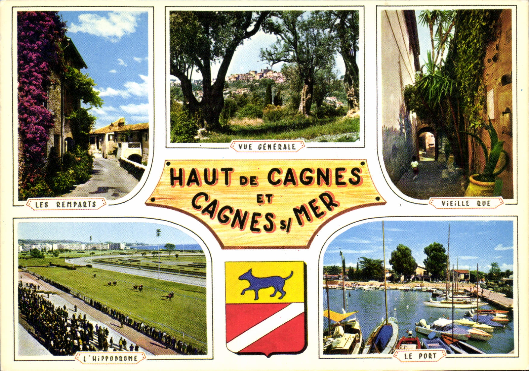 CPM Souvenir de la Cote d'Azur 