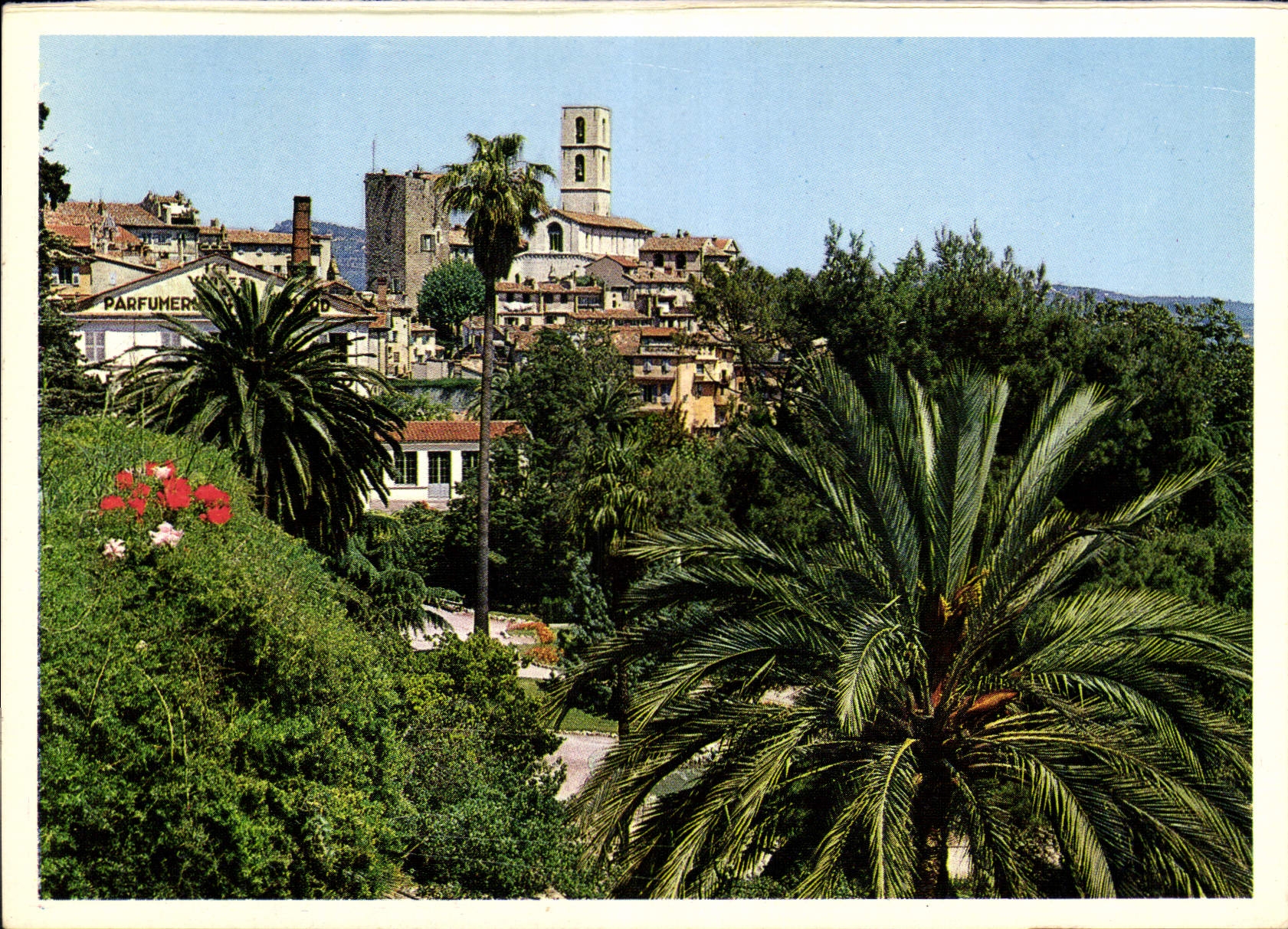 CPM Grasse Cote d'Azur French Riviera cite des fleurs capitale des parfums 