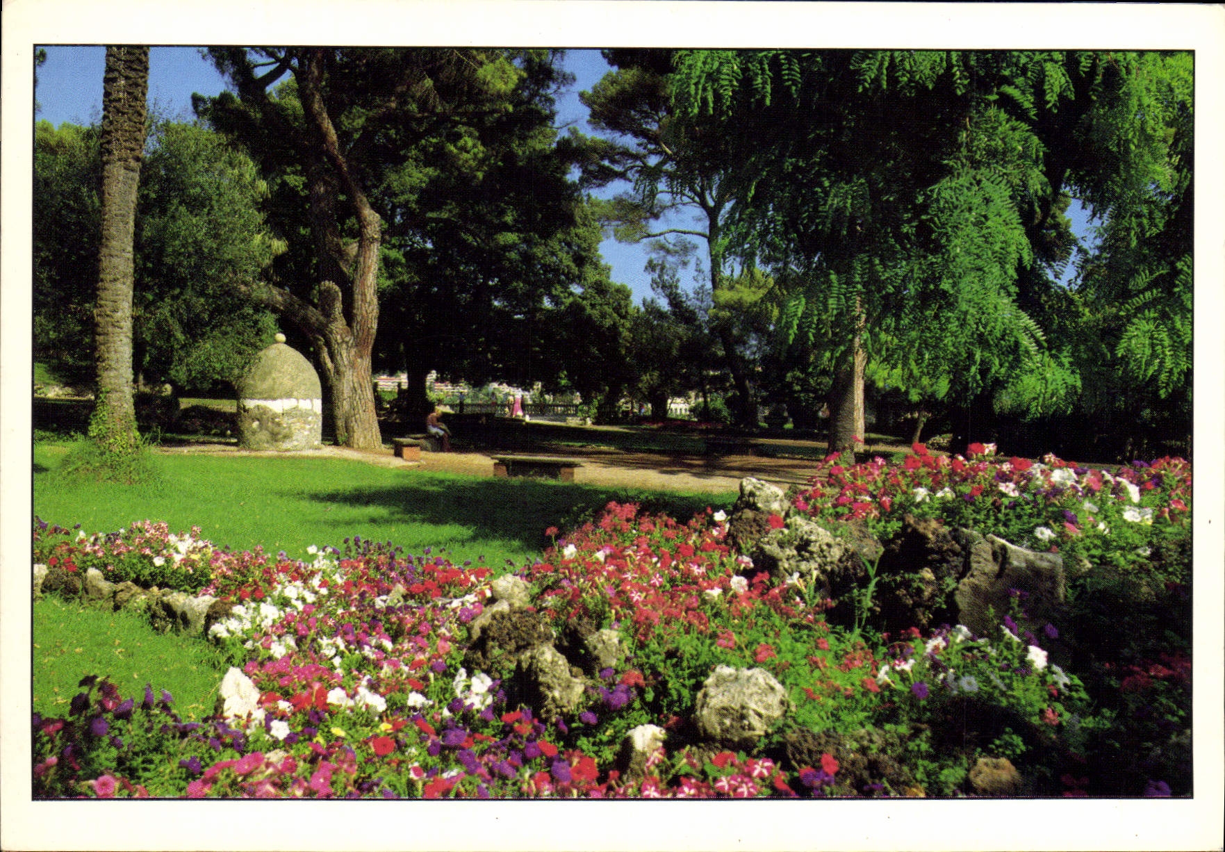 CPM Nice le Jardins du Chateau