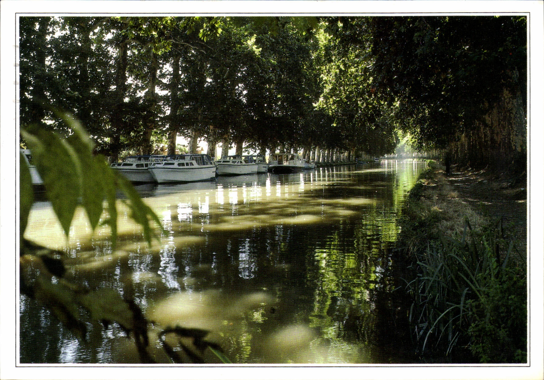 CPM Languedoc Canal du Midi 