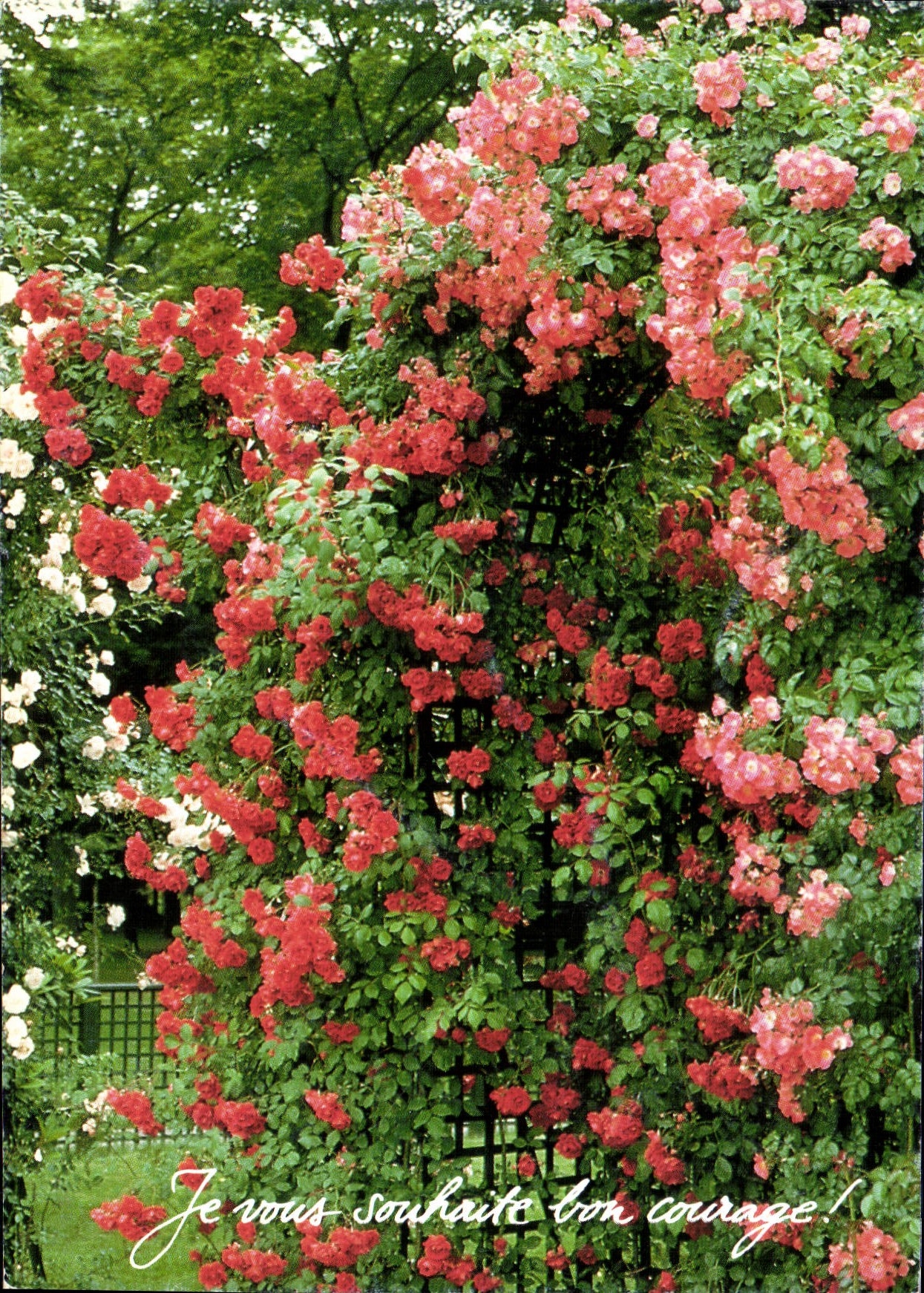 CPM Je vous souhaite bon courage 