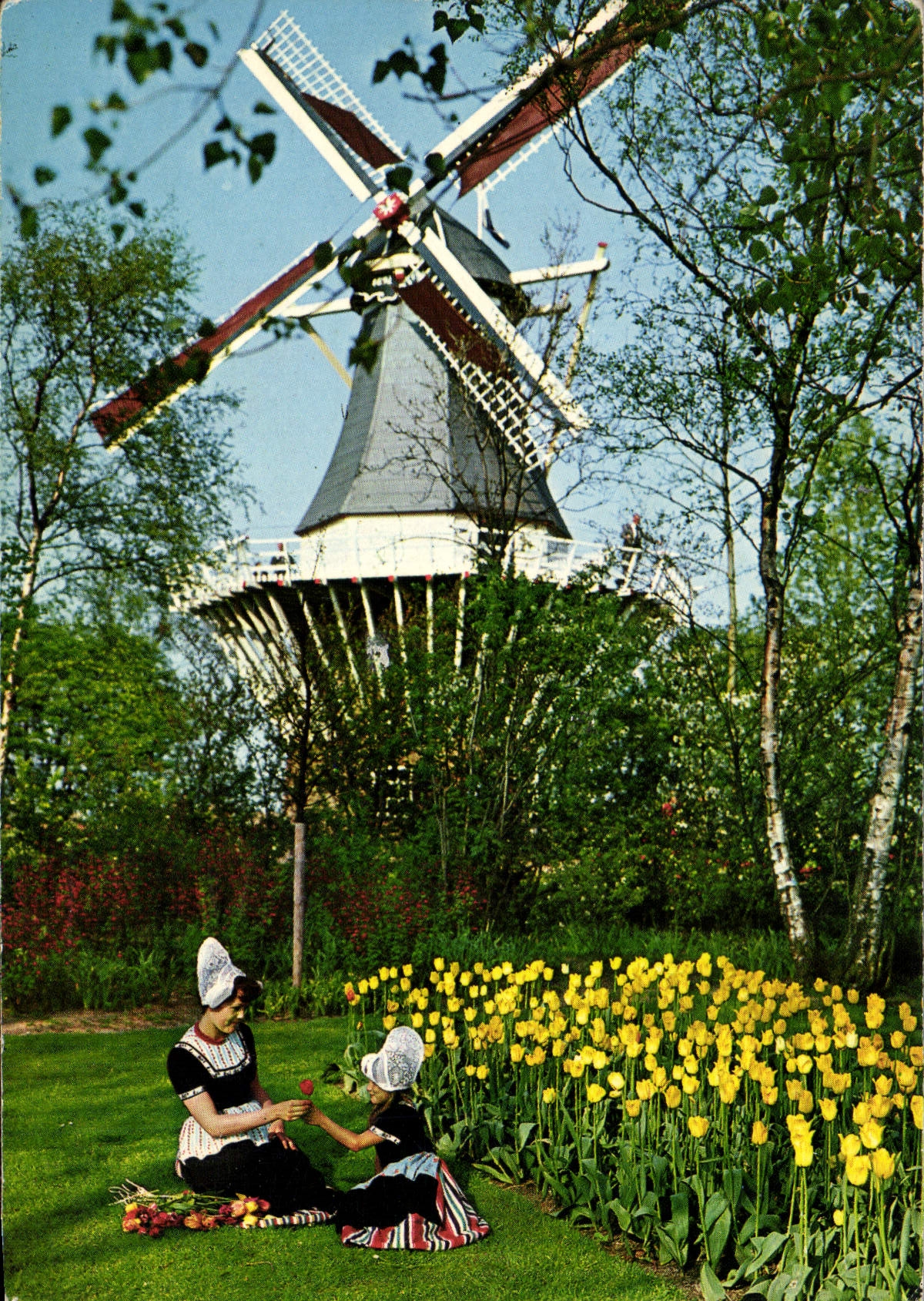 CPM Moulin a vent Hollande