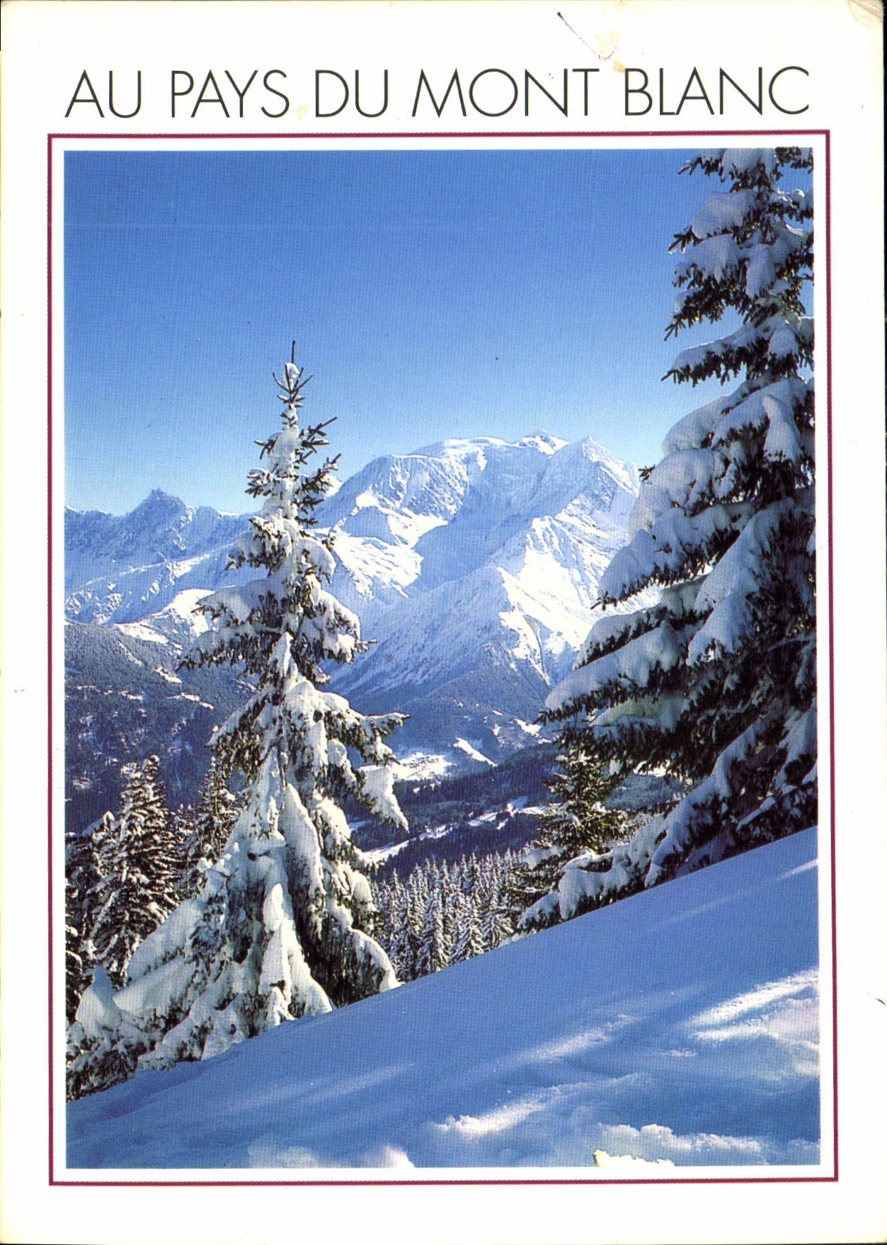 CPM Mont Blanc eternel 