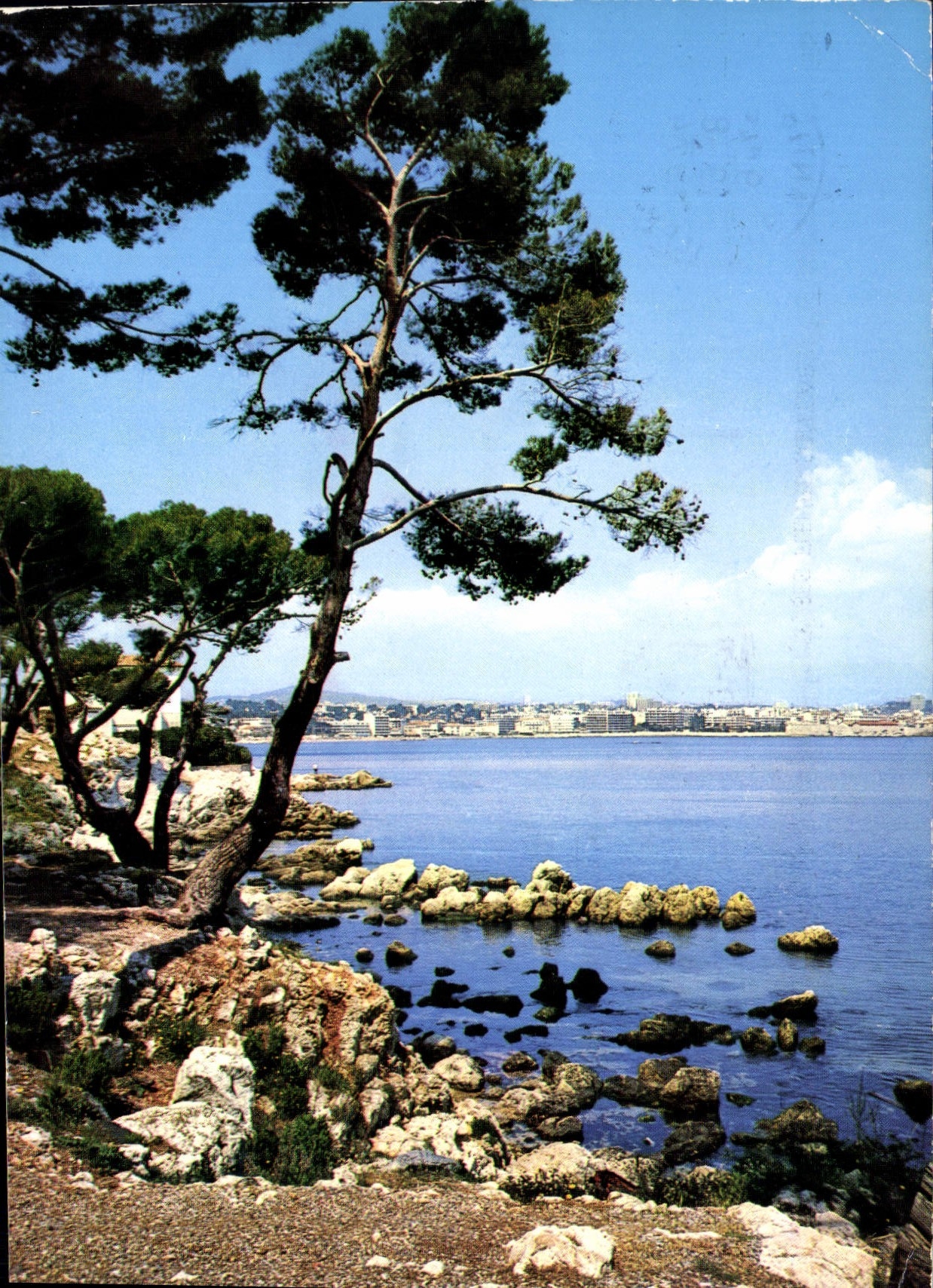 CPM Cote d'Azur Cap d'Antibes Panorama sur Antibes