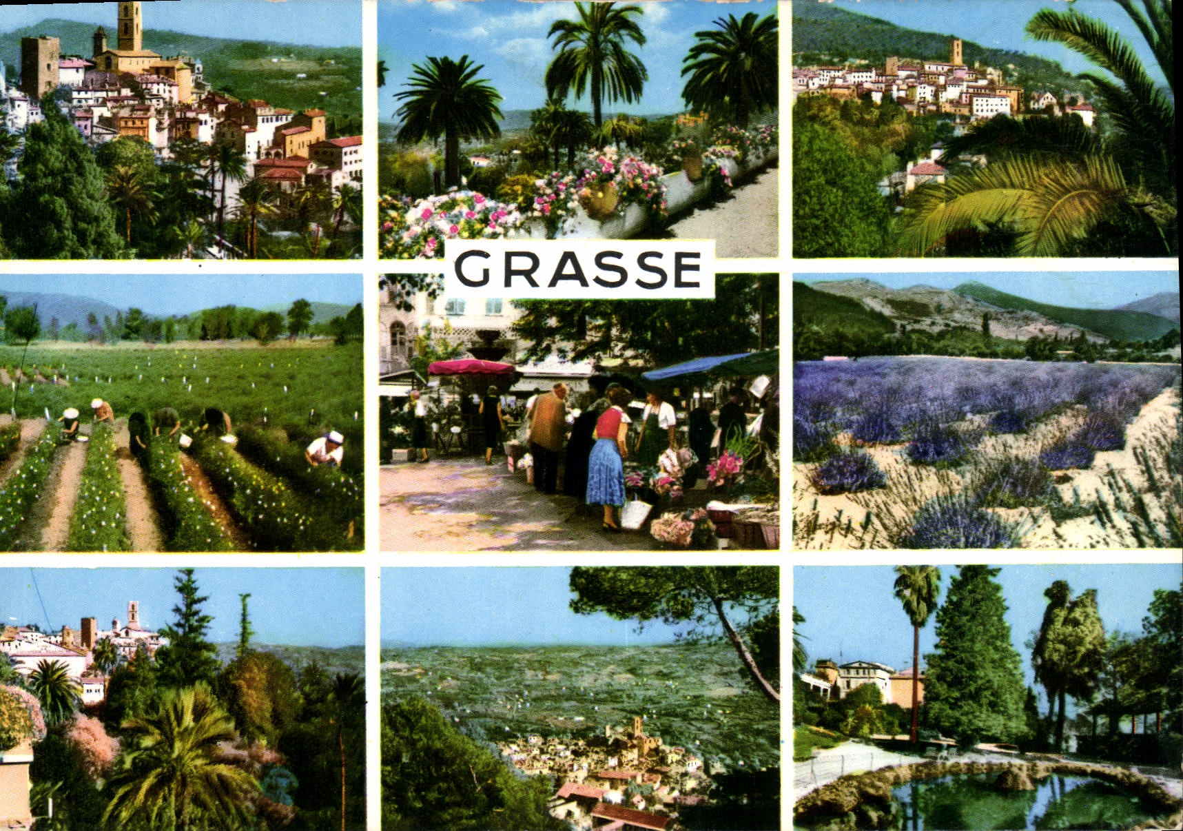 CPM Grasse 