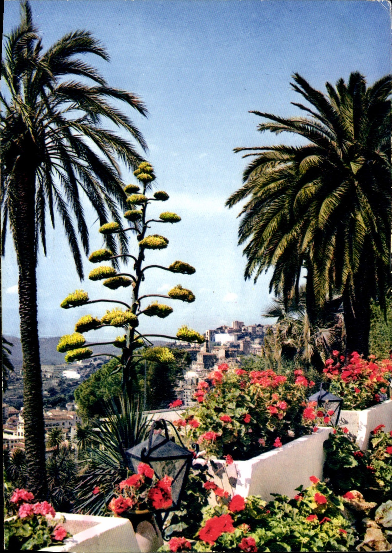 CPM Cote d'Azur Carrefour Mondial du Tourisme Fleurs et Lumieres sous le ciel de Grasse ville des Pa