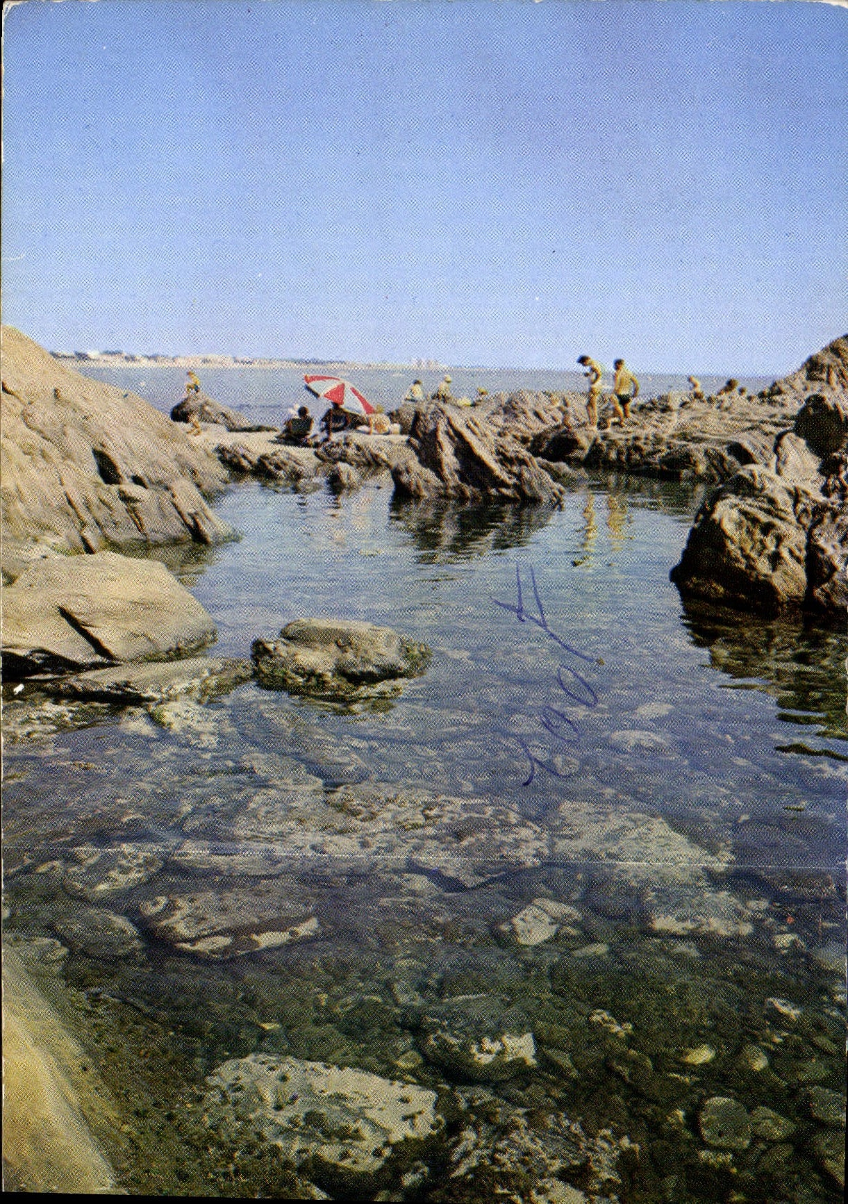 CPM Le Recou Argeles sur Mer les rochers au fond les tours d'Argeles