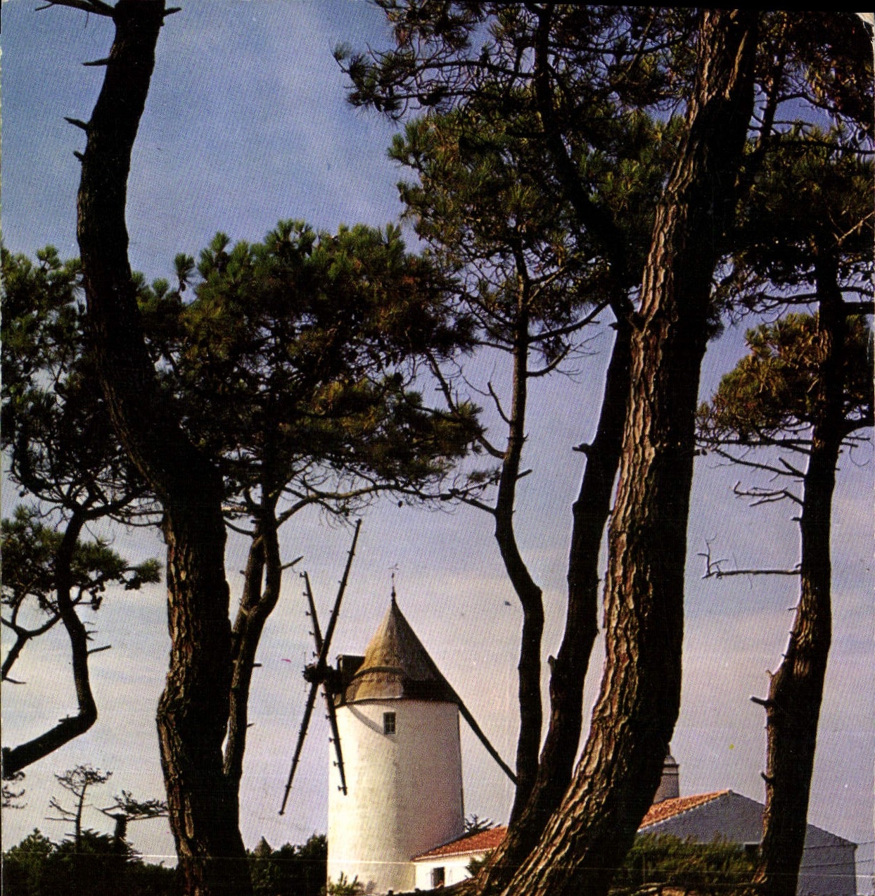 CPM Ile de Noirmoutier un des moulins de l'Ile