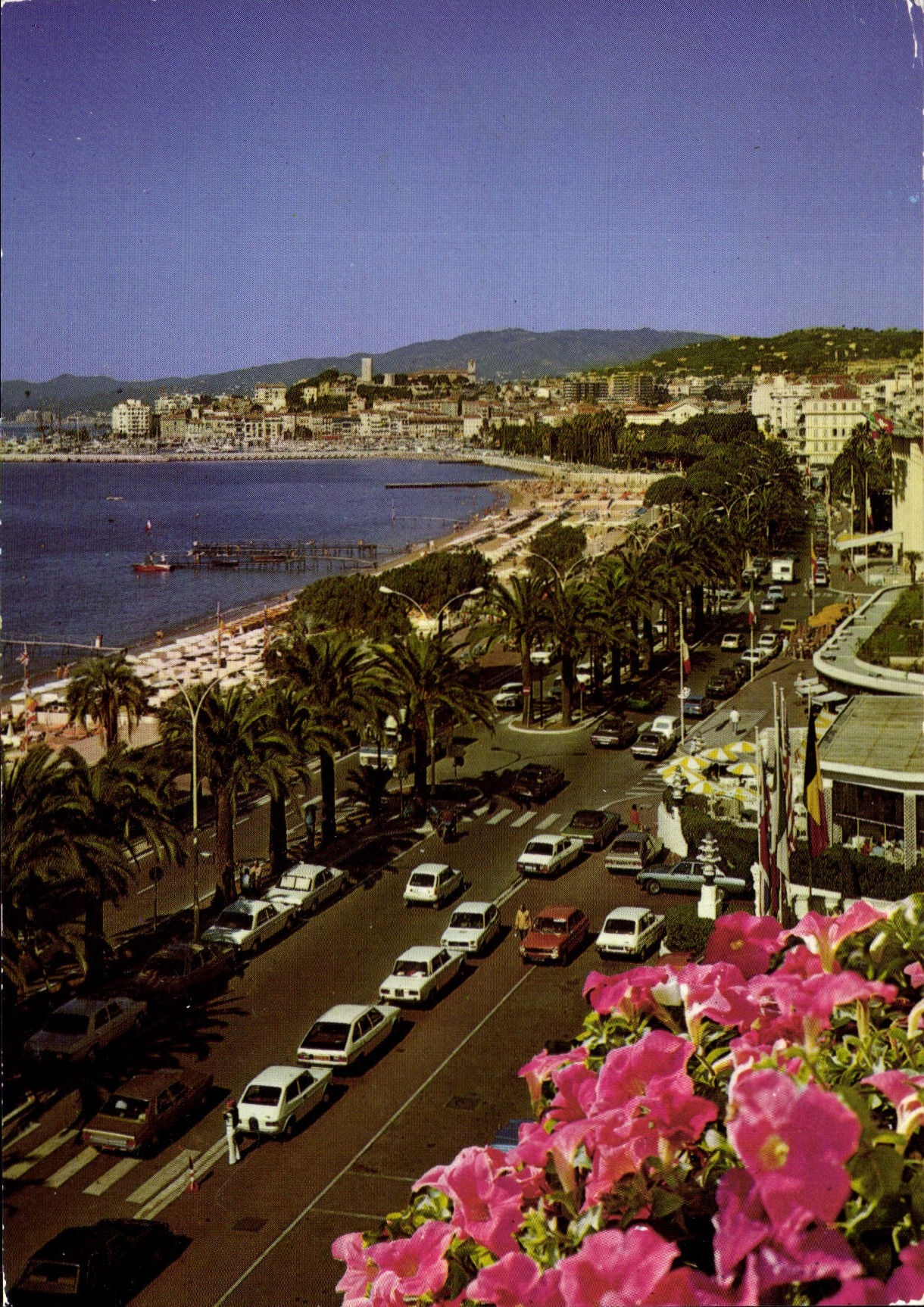 CPM Cannes la Promenade de la Croisette dans le fond le Suquet 