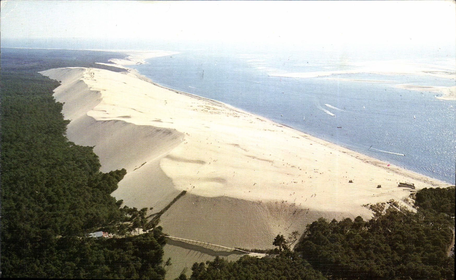 CPM Bassin d'Arcachon La Dune du Pilat au premier plan la passerelle et l'escalier de la Palombiere