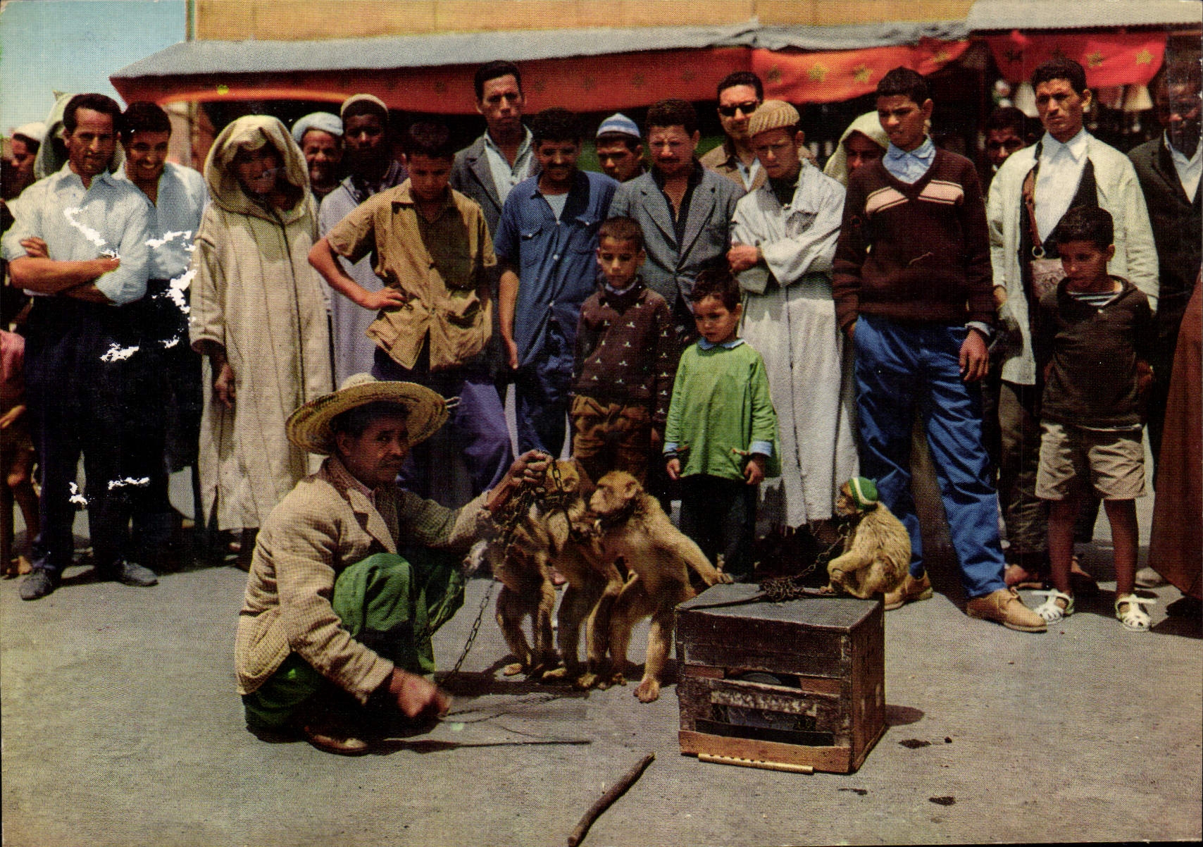 CPM Maroc Pittoresque Dresseur de singes
