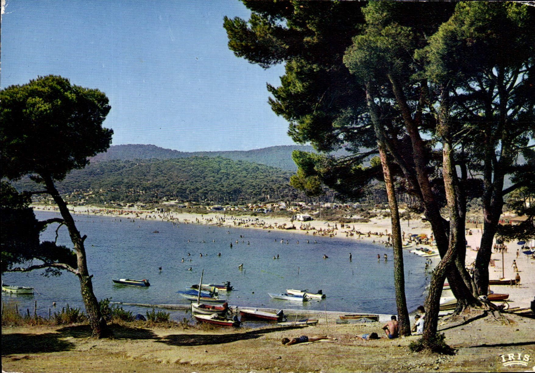CPM La Cote d'Azur Environs du Lavandou Var Bormes les Mimosas 