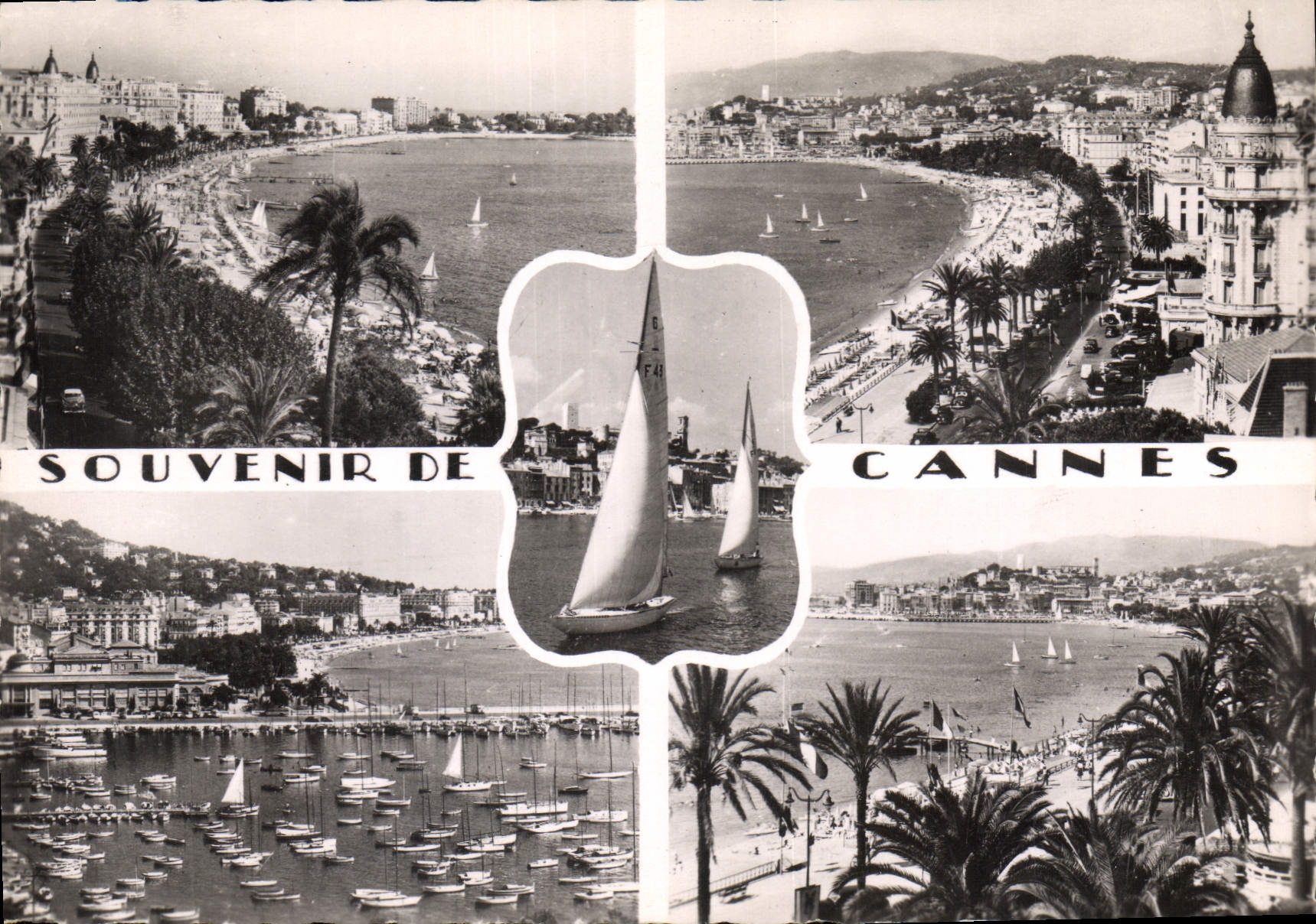 CPM La Cote d'Azur Cannes 