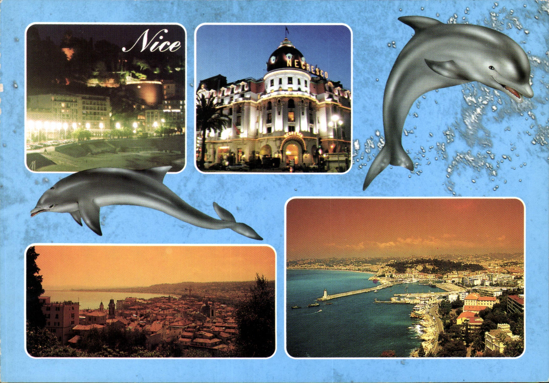 CPM La Cote d'Azur Nice Dauphin