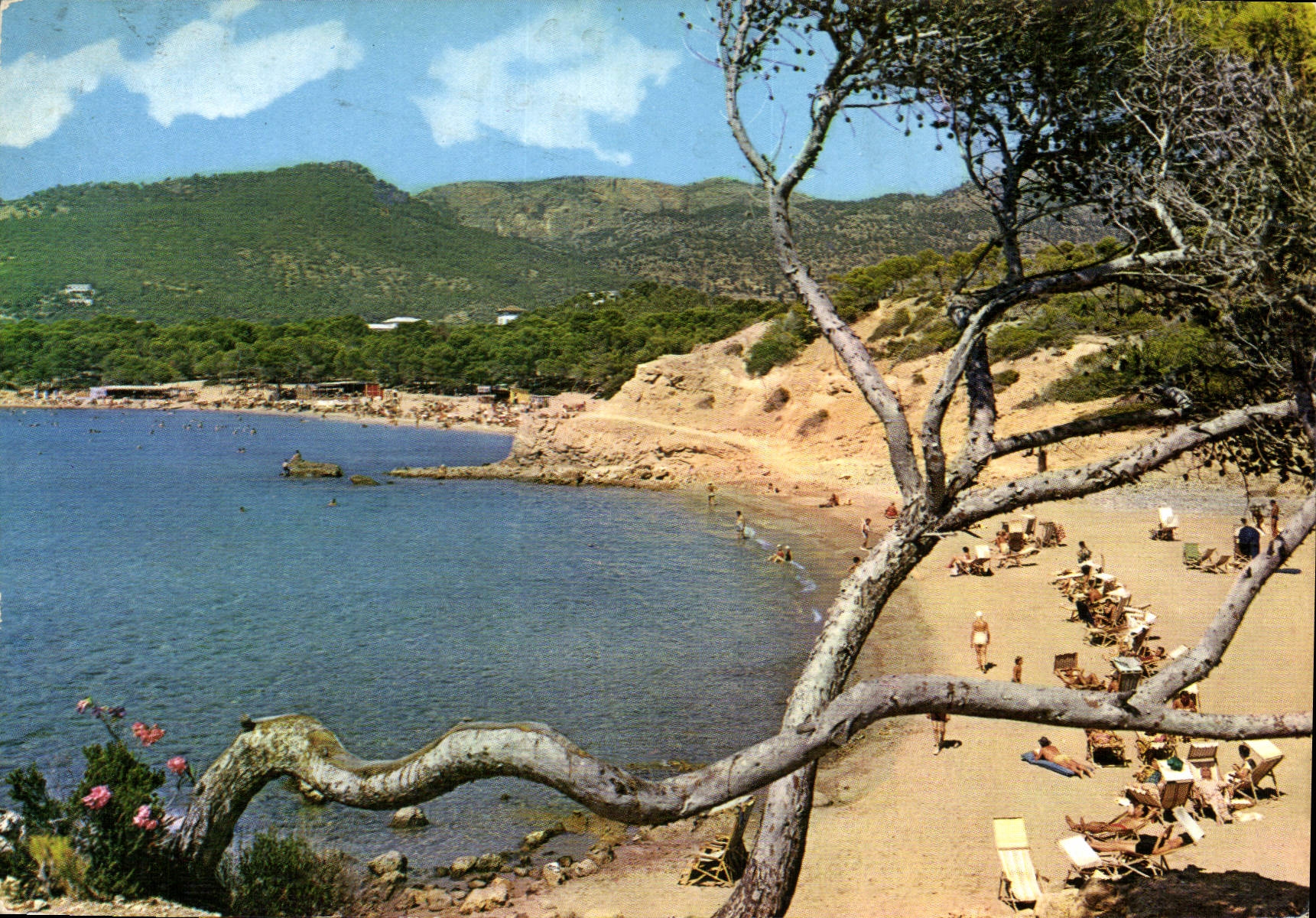 CPM Mallorca Baleares Espana Paguera Playas 