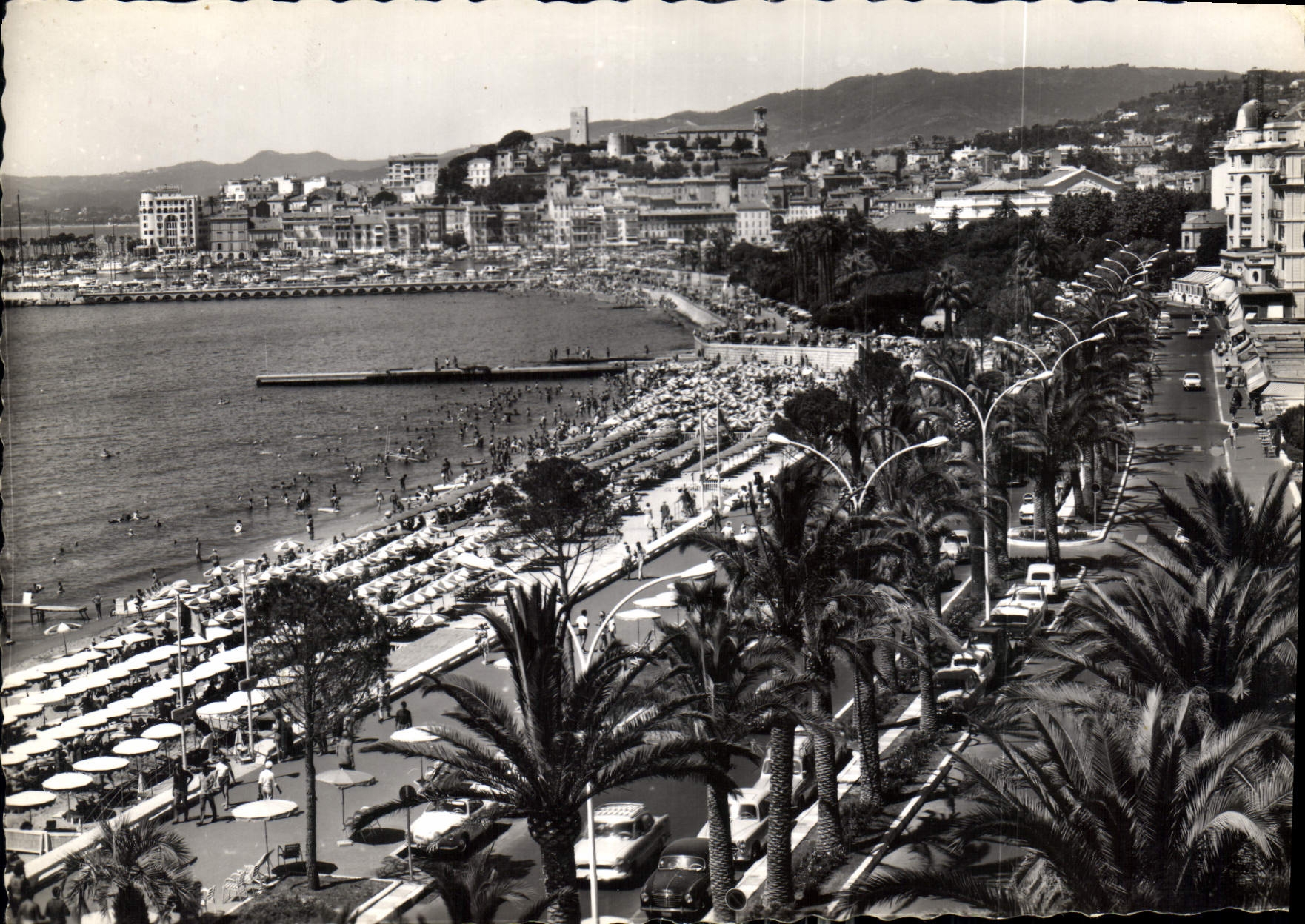 CPM La Cote d'Azur Cannes Alpes Mmes Le Boulevard et la Plage de la Croisette au fond le Suquet 