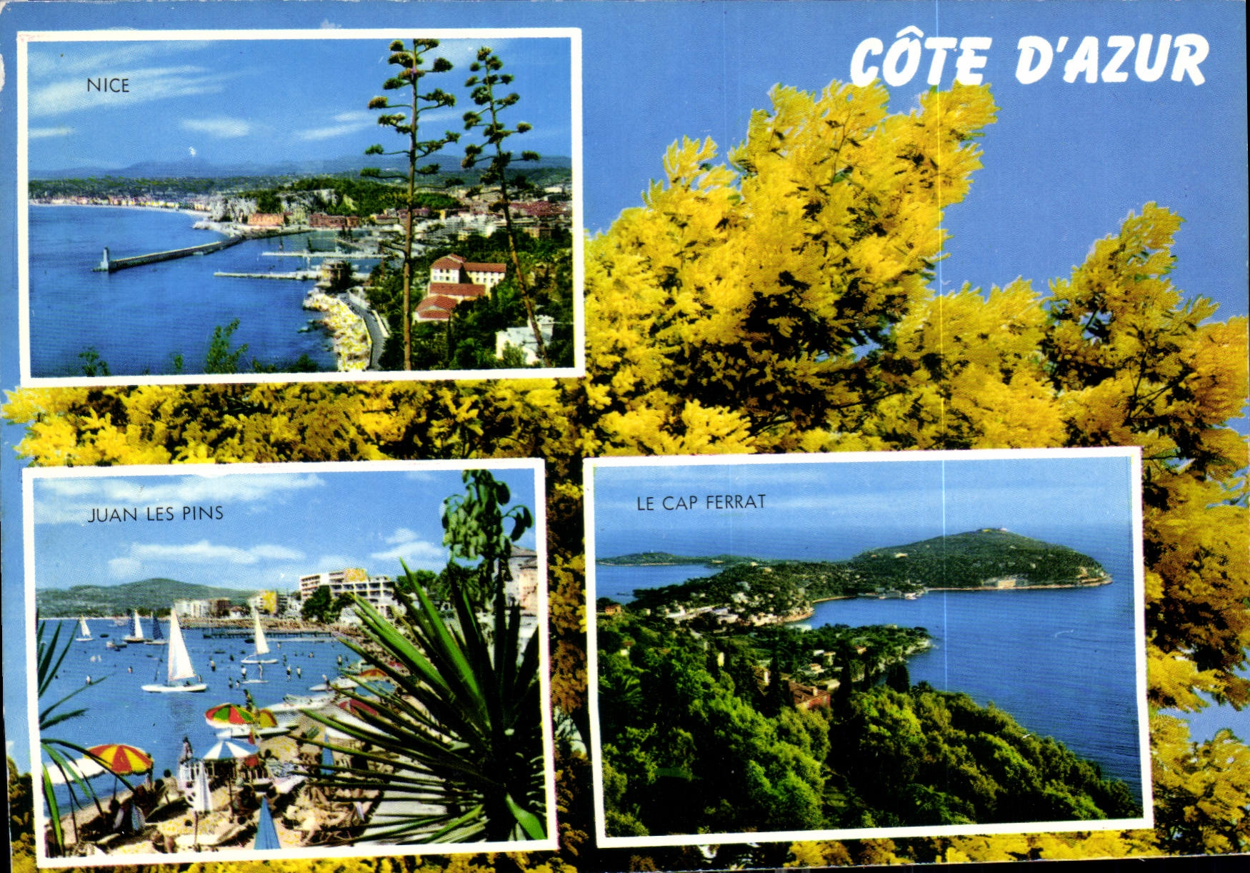 CPM Souvenir de la Cote d'Azur Nice Juan les Pins le Cap Ferrat 