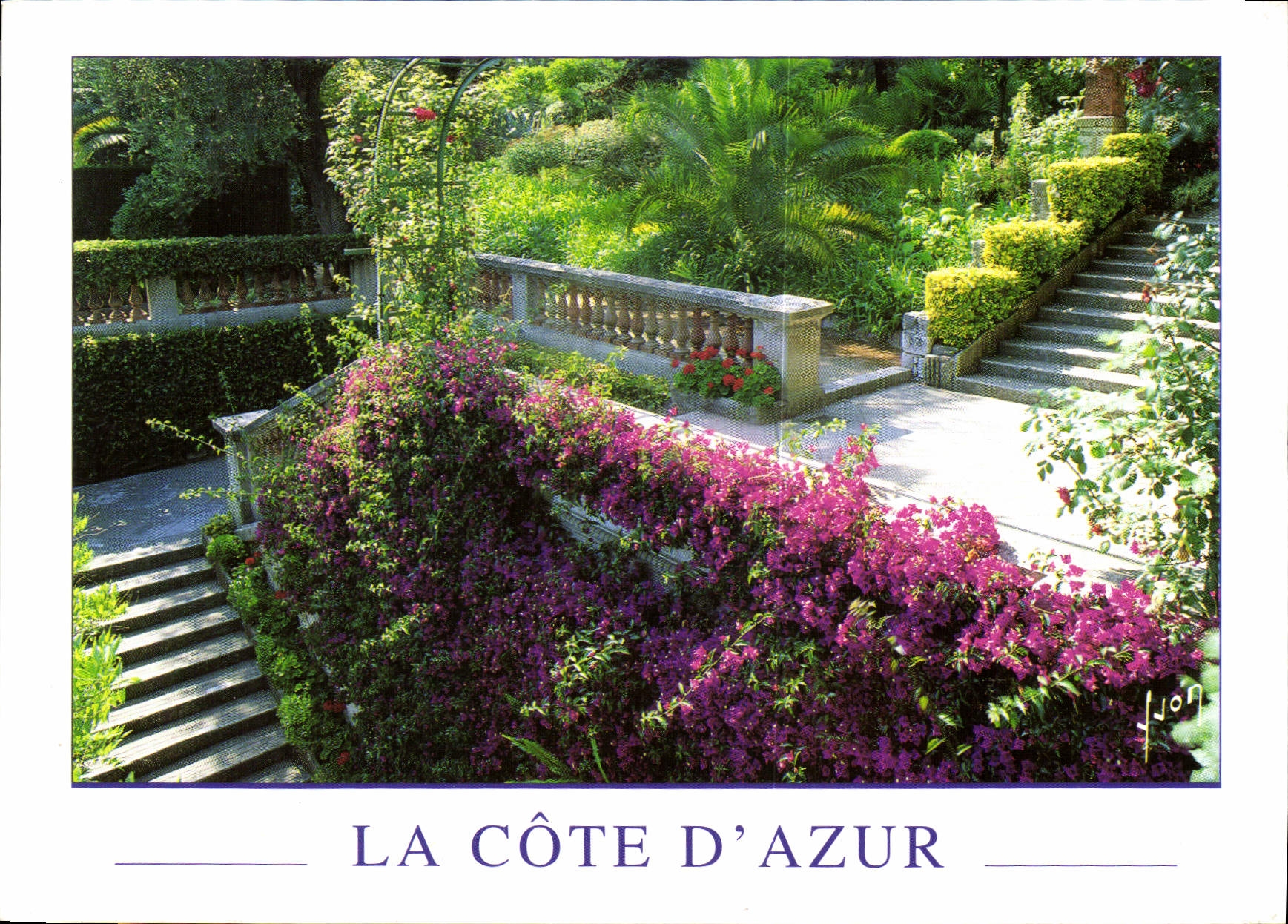 CPM Couleurs et Lumiere de France Jardins de la Cote d'Azur 