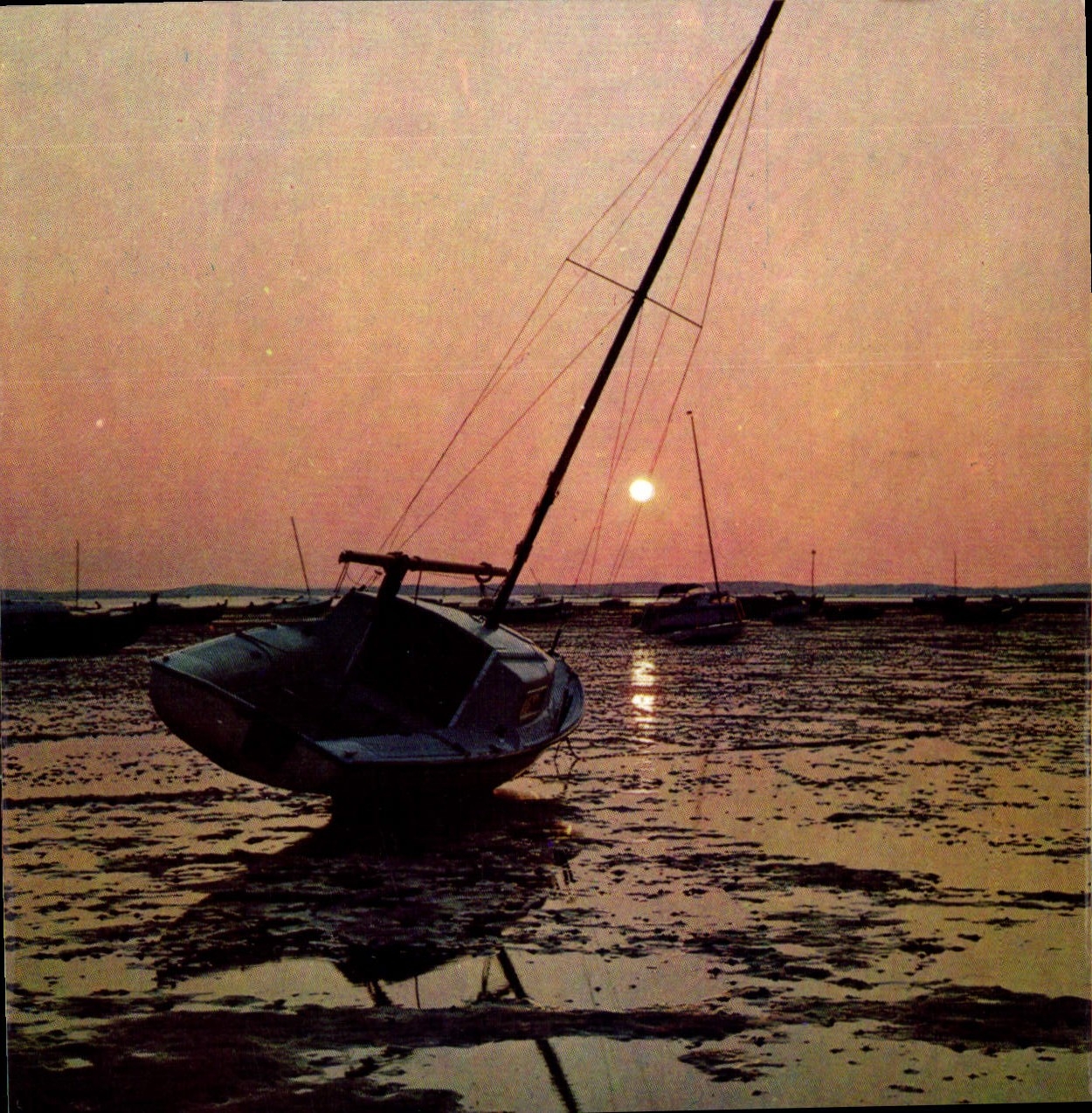 CPM Couleurs et lumiere de France Bassin d'Arcachon Gironde Coucher de soleil sur le Bassin a maree