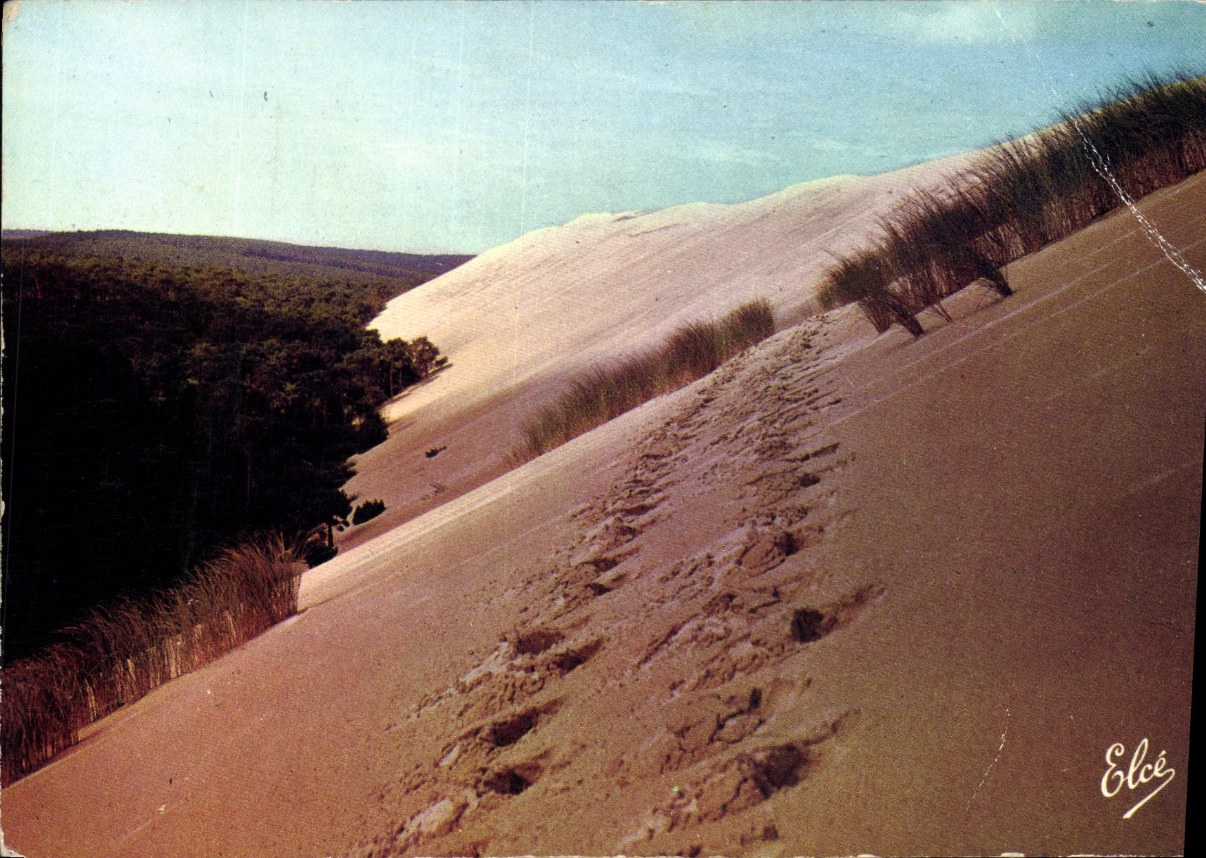 CPM Bassin d'Arcachon Gironde la Dune du Pyla et la Foret