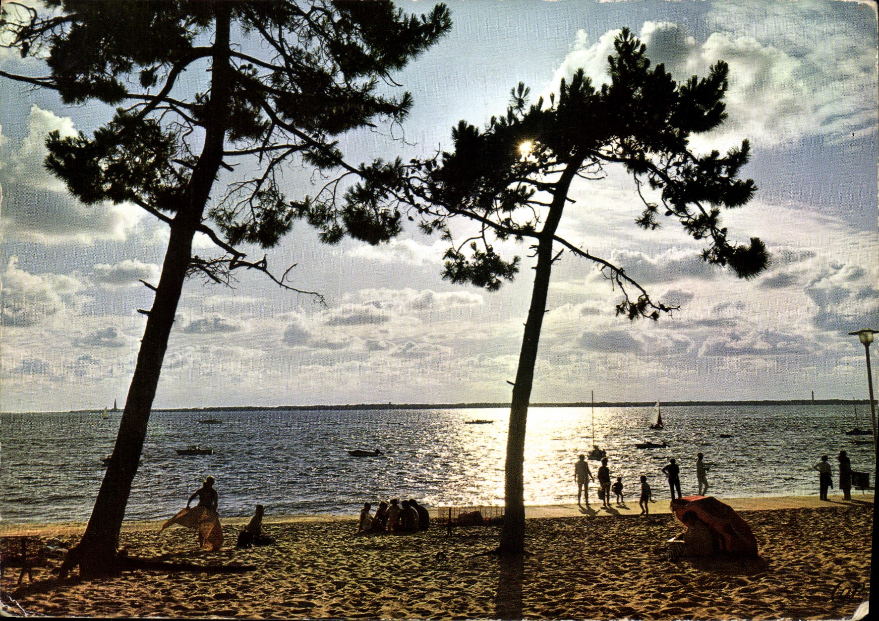 CPM Cote d'Argent Bassin d'Arcachon Coucher de Soleil a travers les Pins