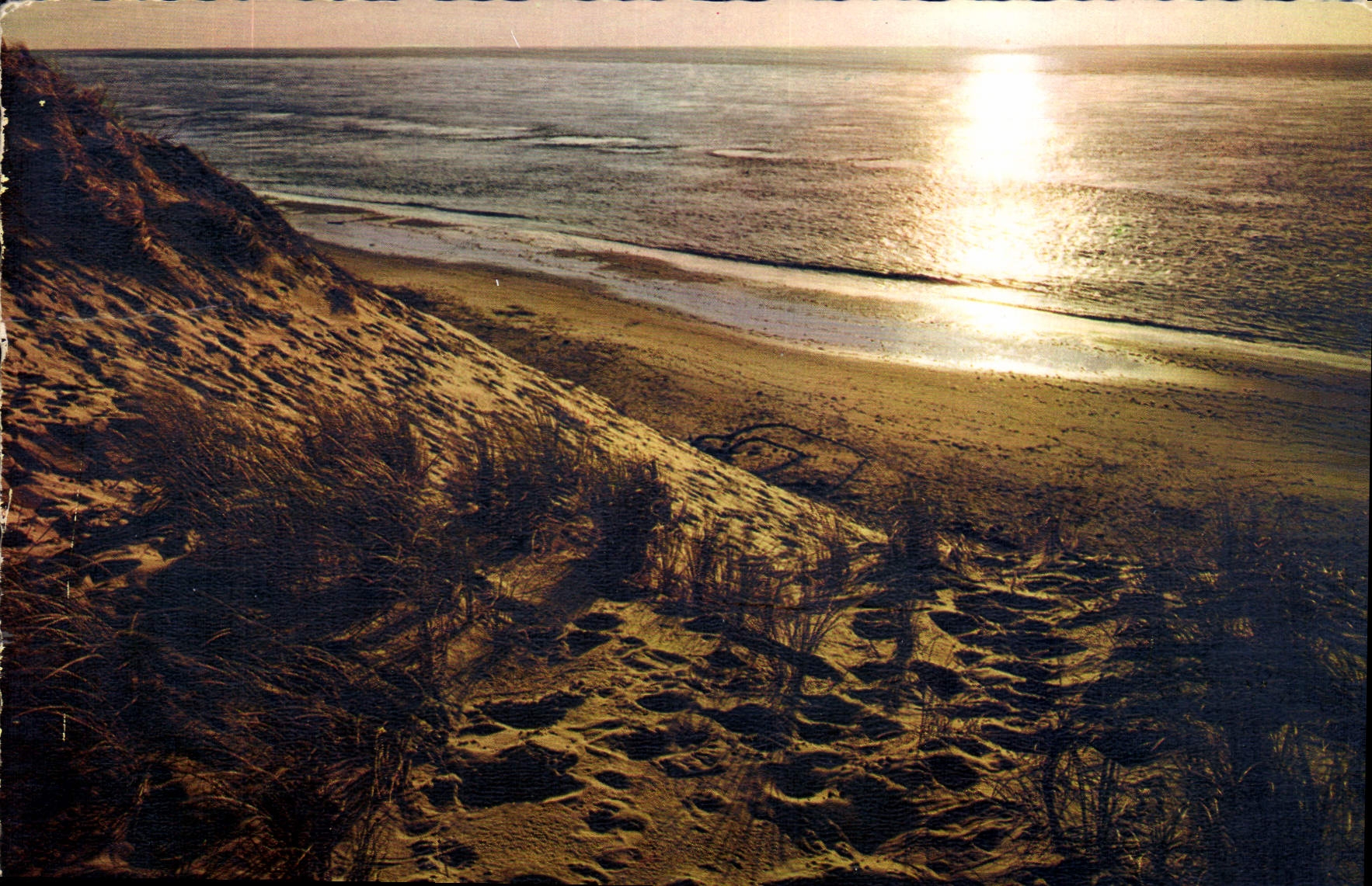 CPM Bassin d'Arcachon au pied des dunes contre-jour sur le bassin