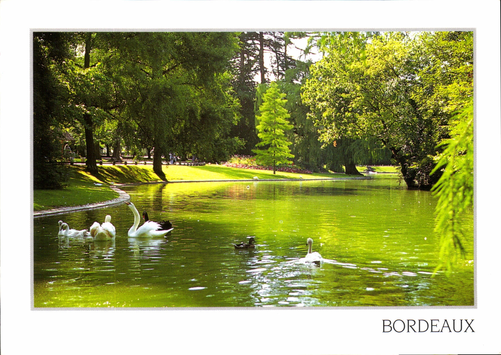 CPM Bordeaux Gironde Invitation a la promenade dans le jardin public 