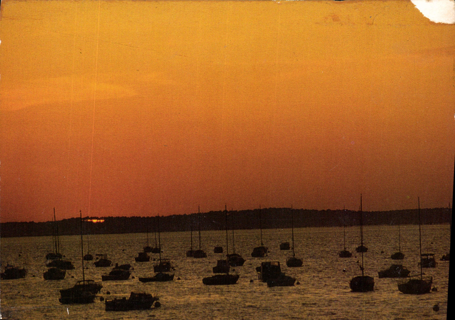CPM Arcachon Gironde Coucher de soleil sur le bassin 