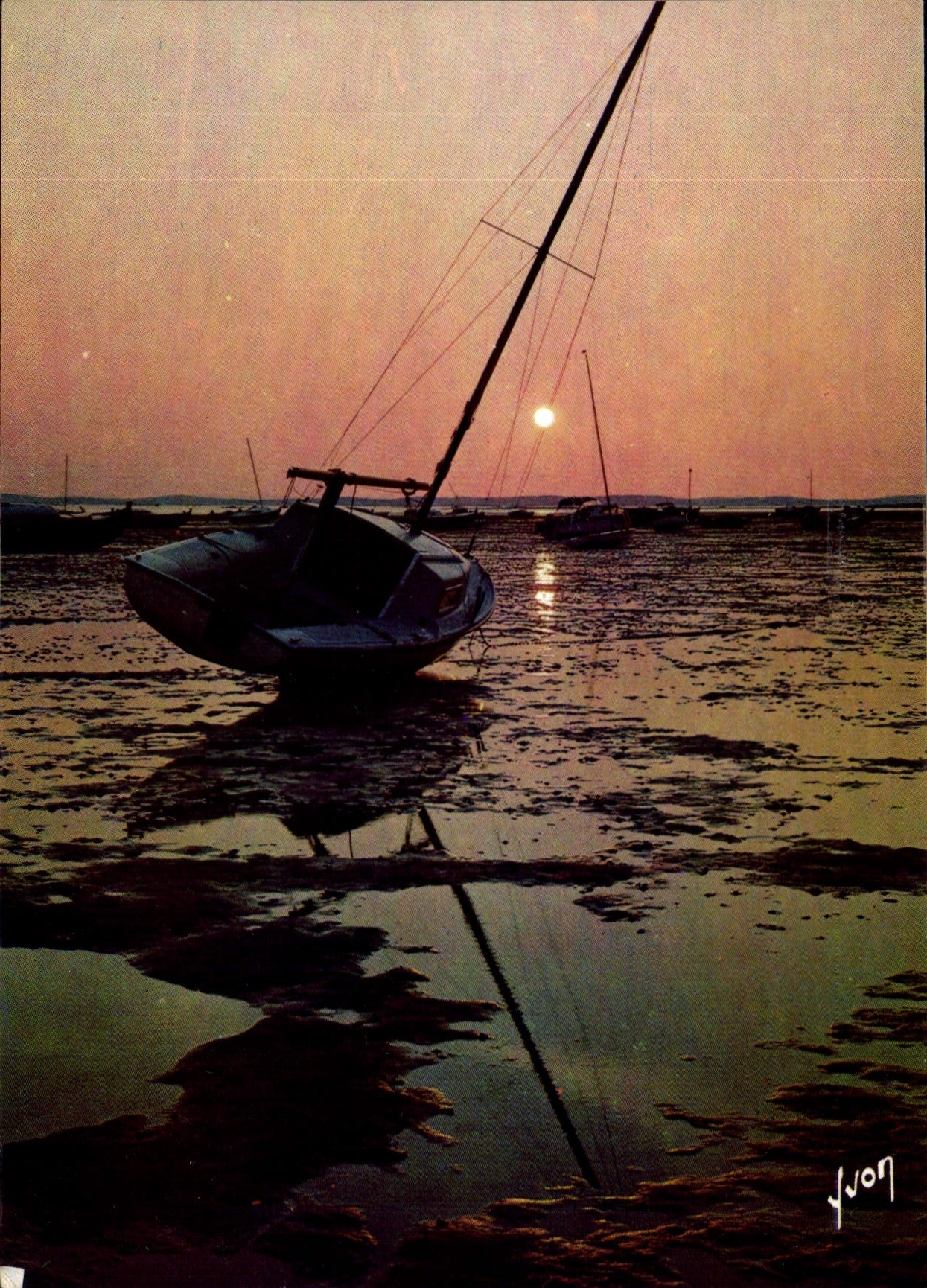 CPM Couleurs et Lumiere de France Bassin d'Arcachon Gironde Coucher de soleil sur le Bassin a maree