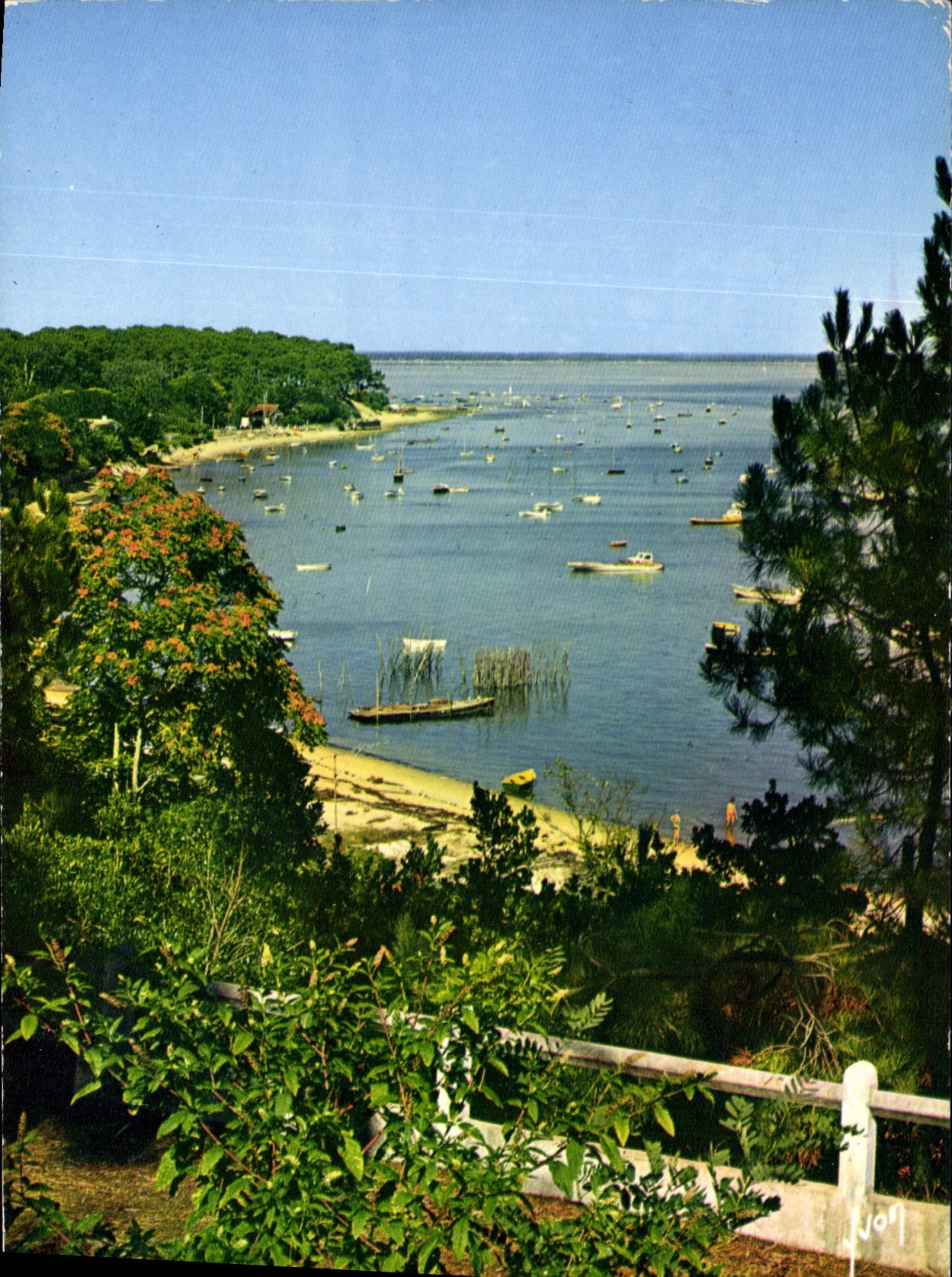 CPM Couleurs et Lumiere de France Bassin d'Arcachon Gironde la Pointe aux Chevaux