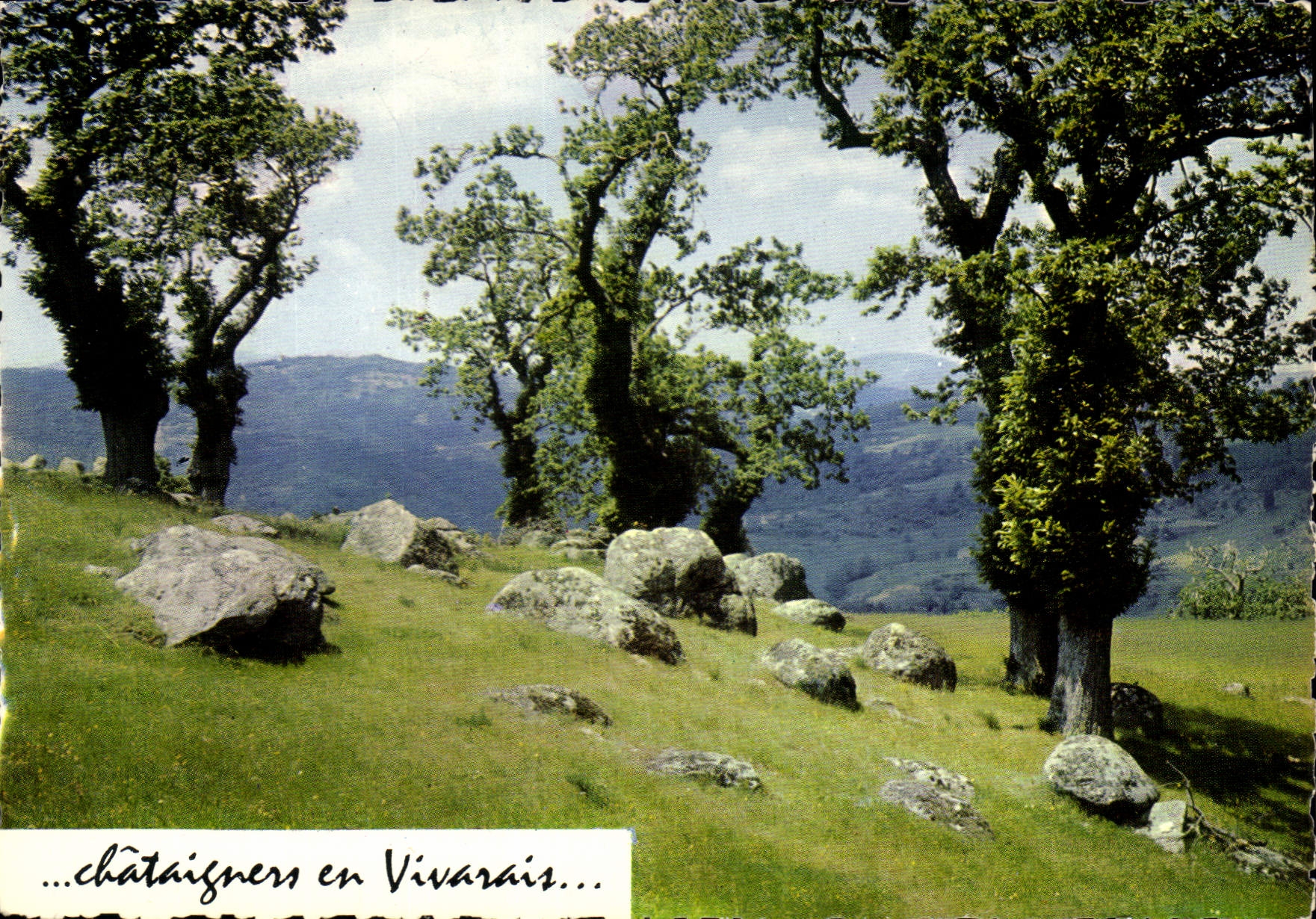 CPM Chataigners en Vivarais 