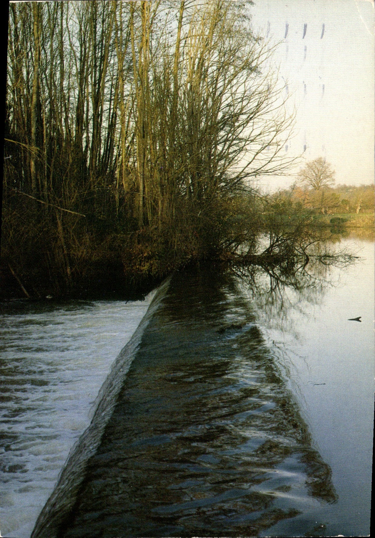 CPM Nos Belles rivieres au soleil couchant