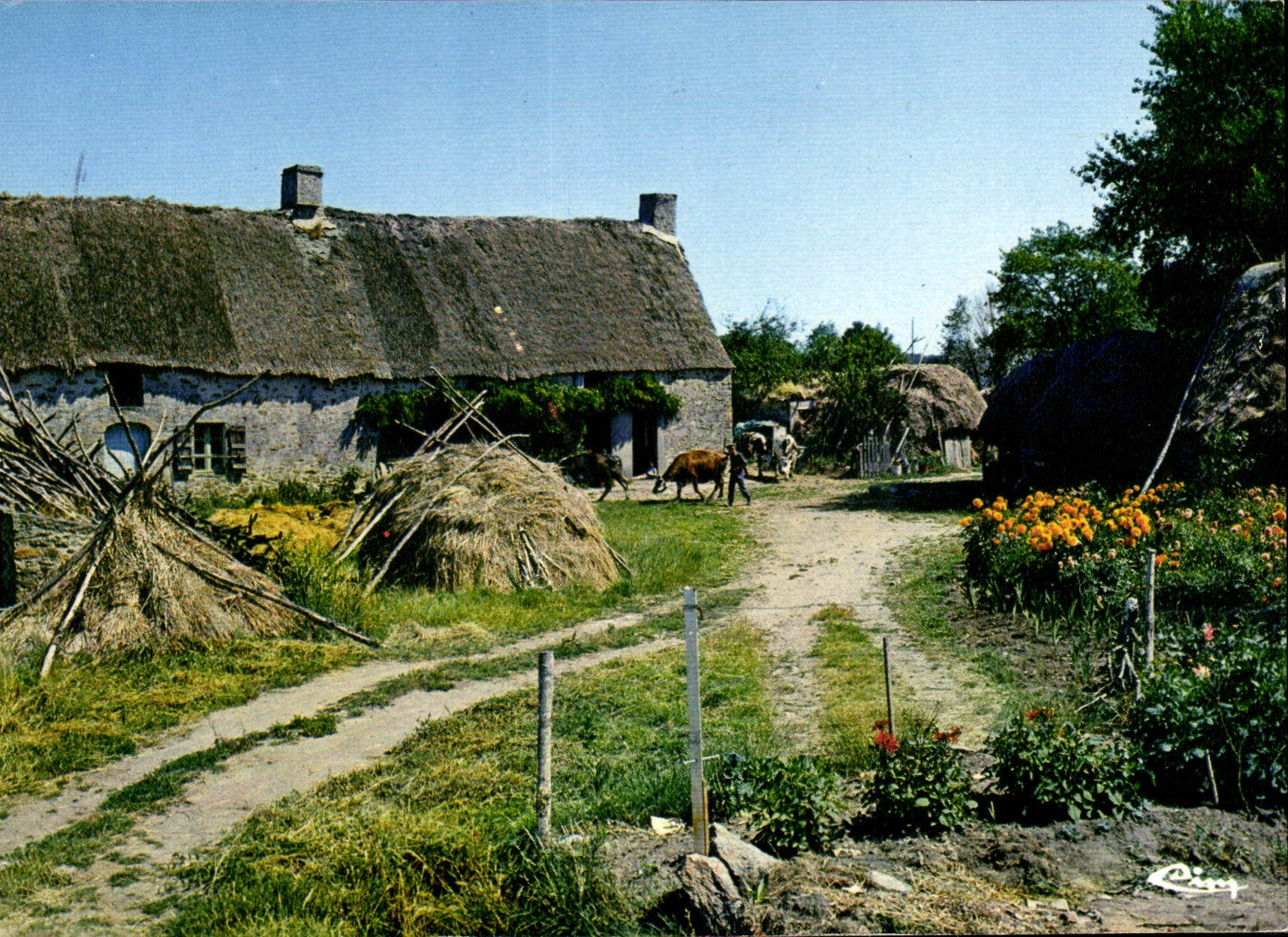 CPM Chaumiere 