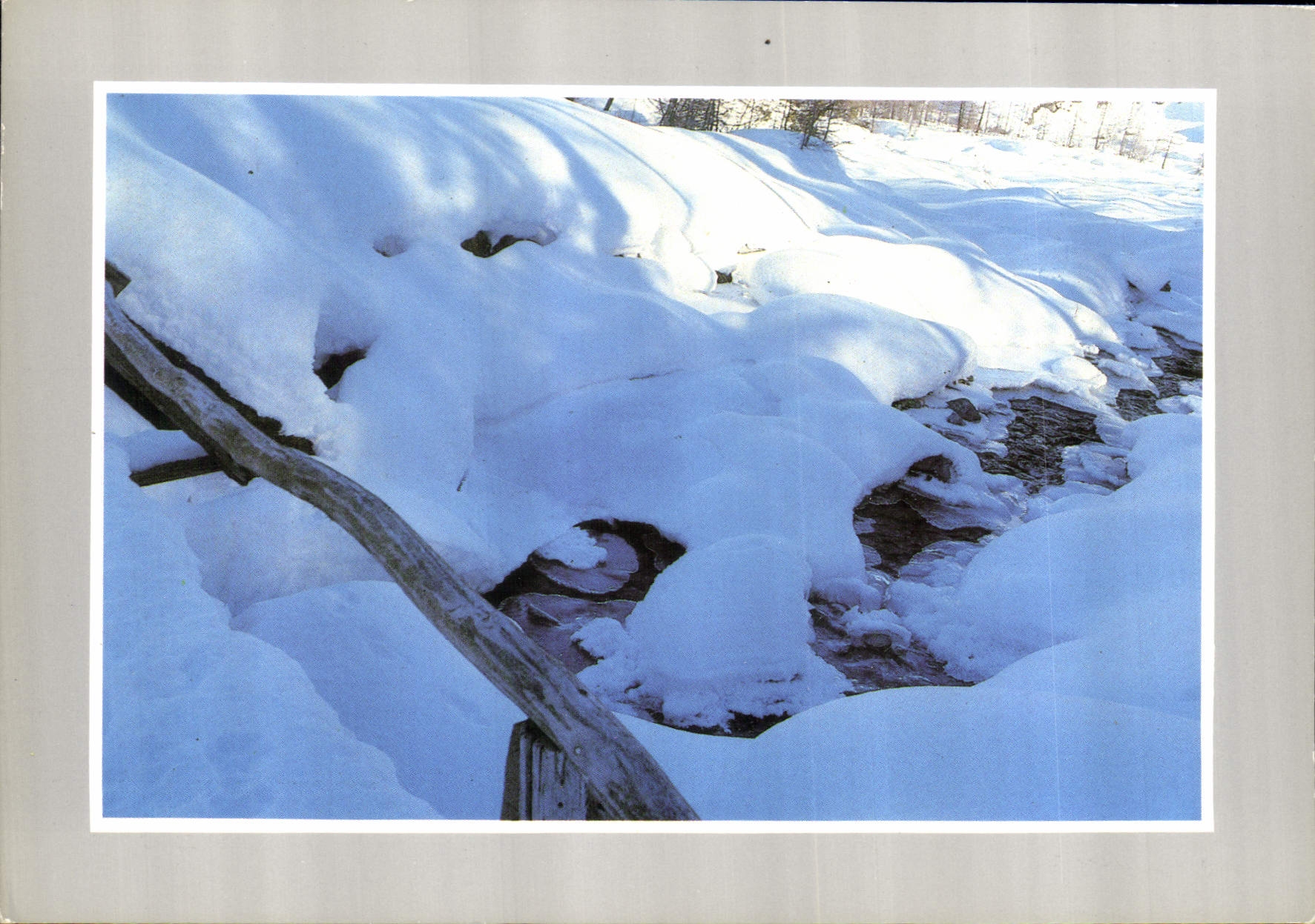 CPM Les joies de la neige 