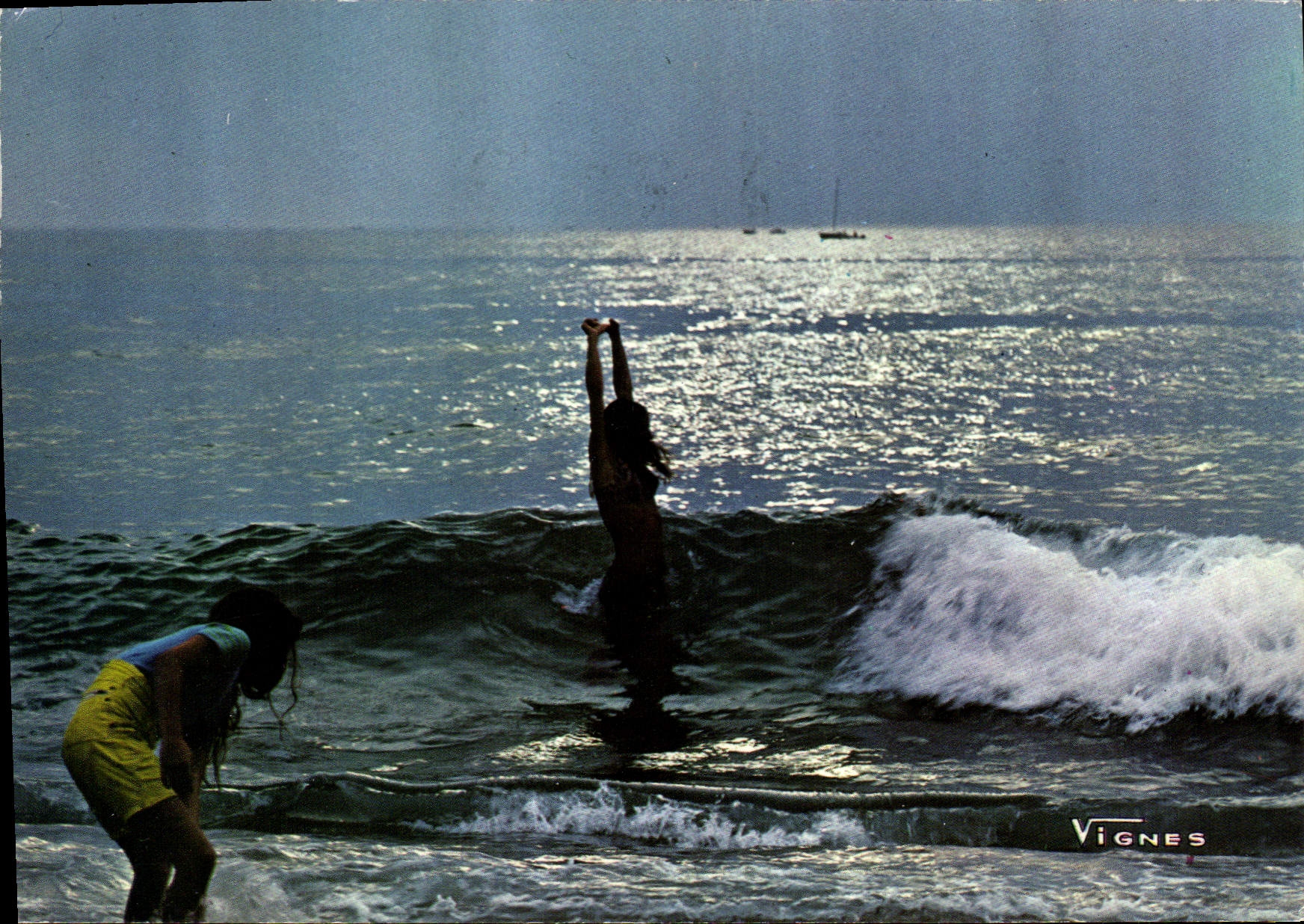 CPM Vignes Visage des Landes Joies de la baignade