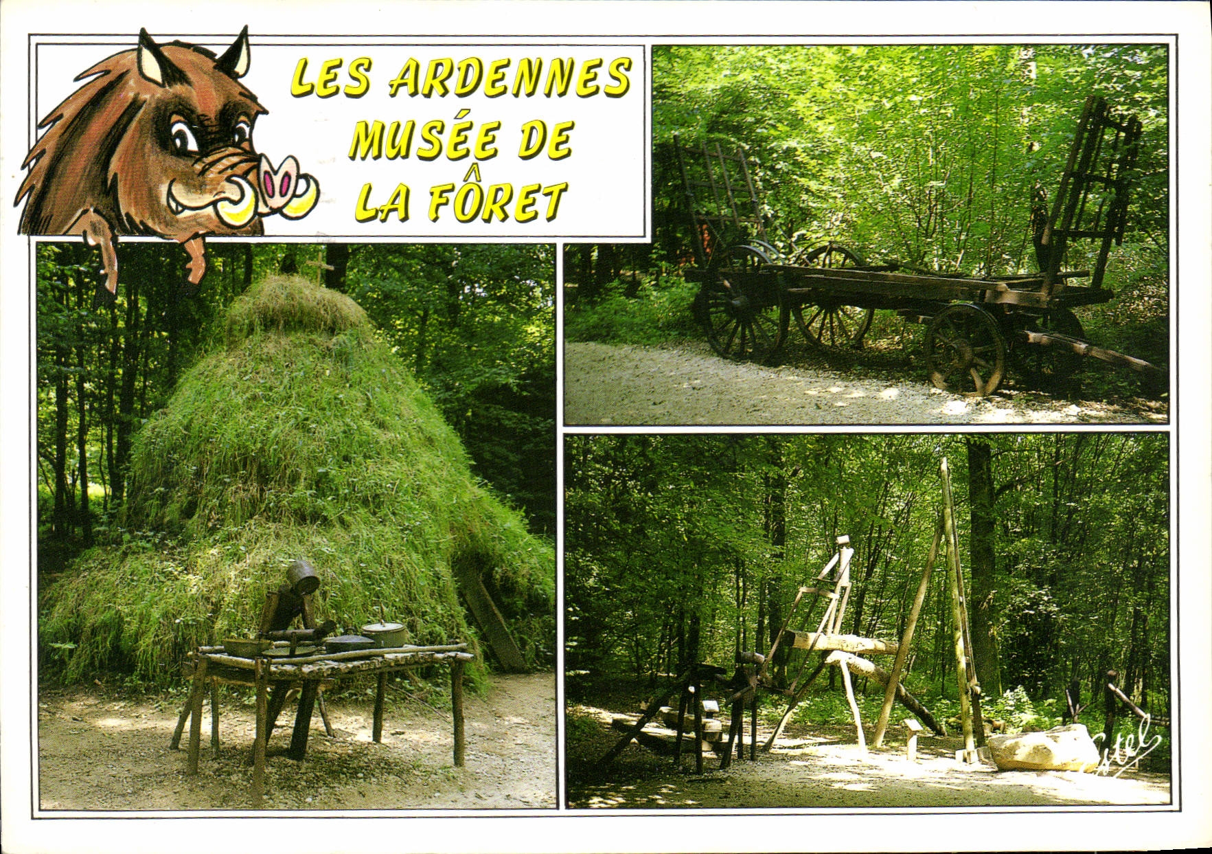 CPM Les Ardennes Musee de la Foret 
