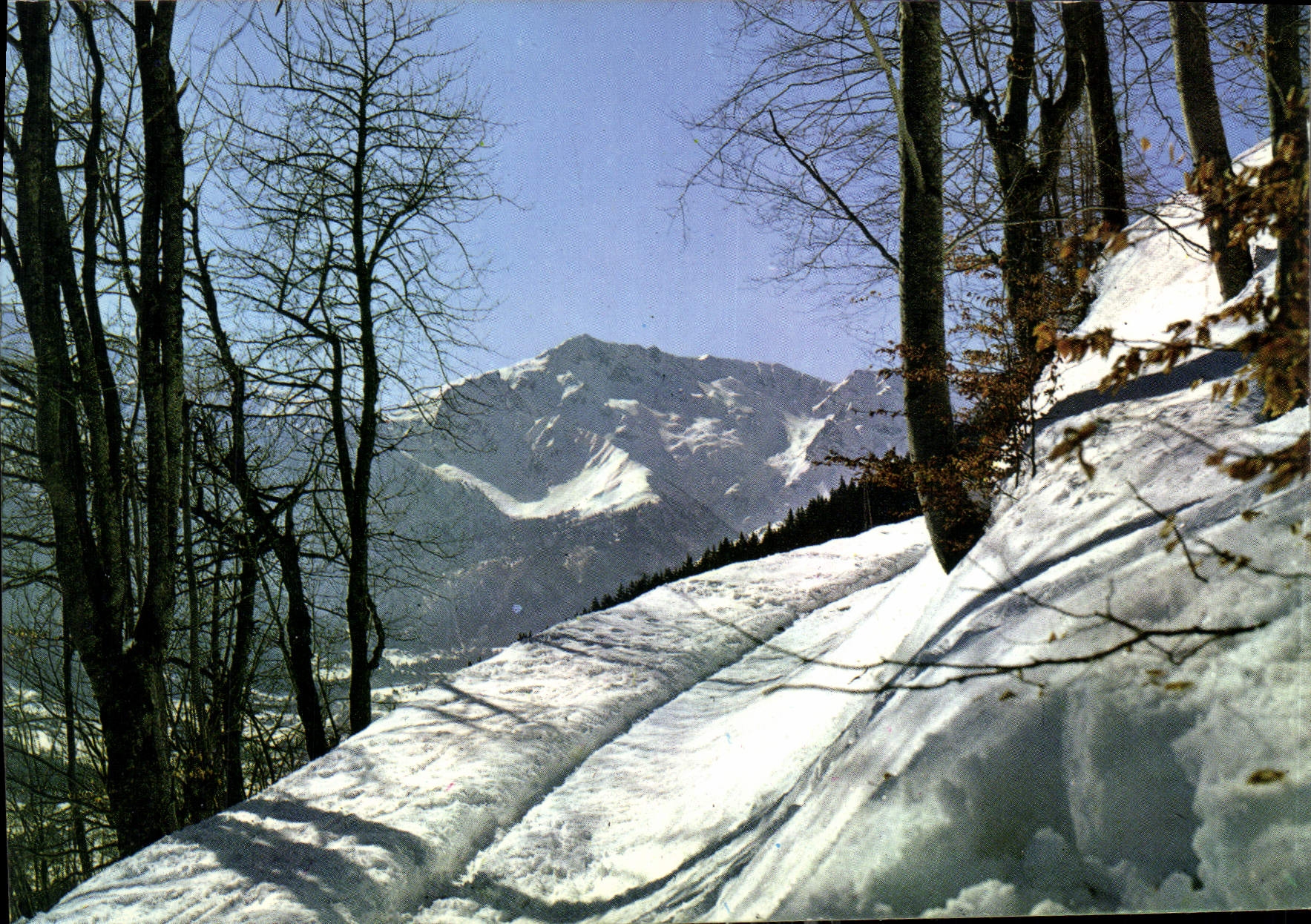 CPM Une ravissan promenade face au Massif des Sept Laux